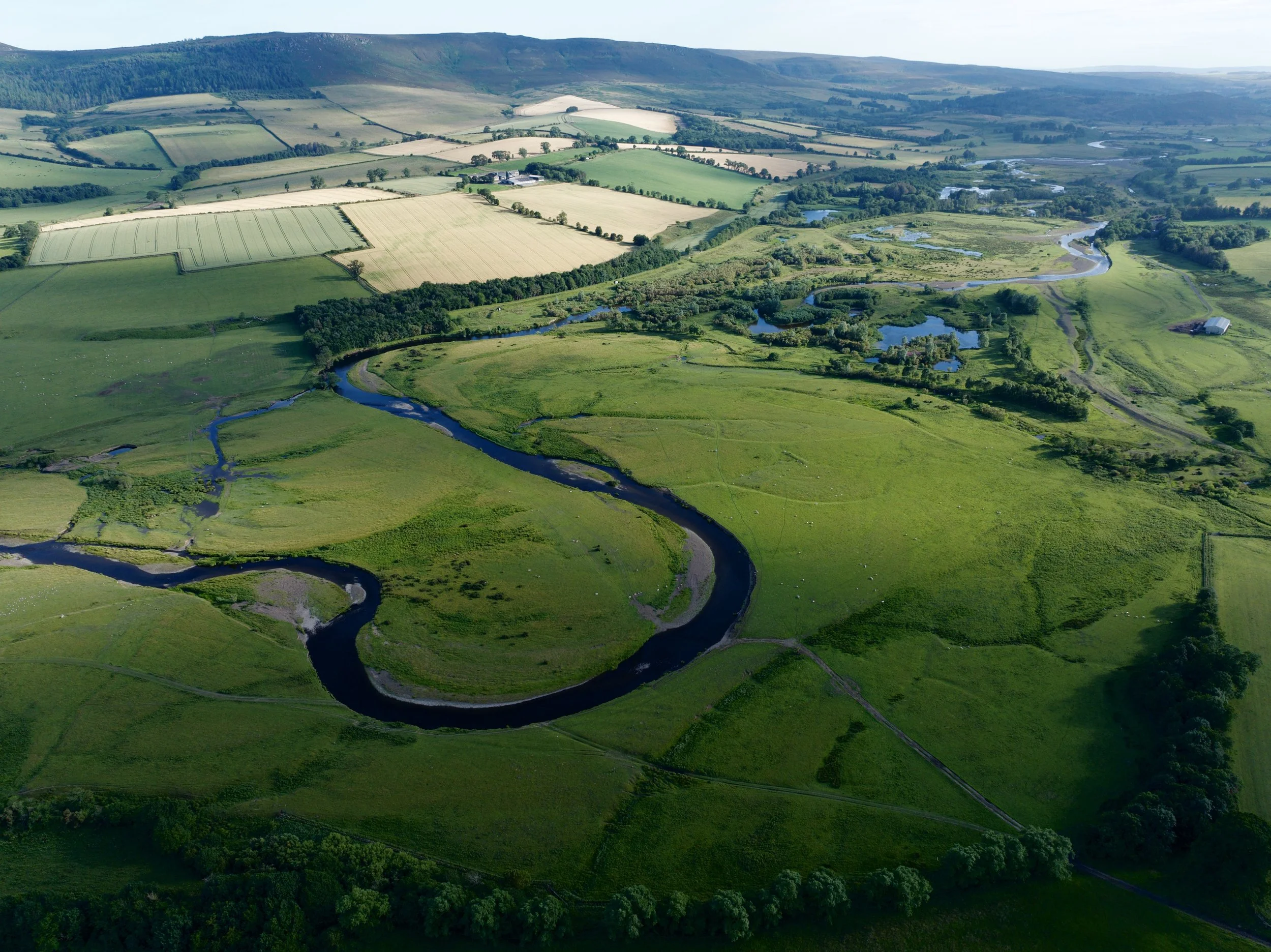 DJI_20250708190517_0287_D.jpg