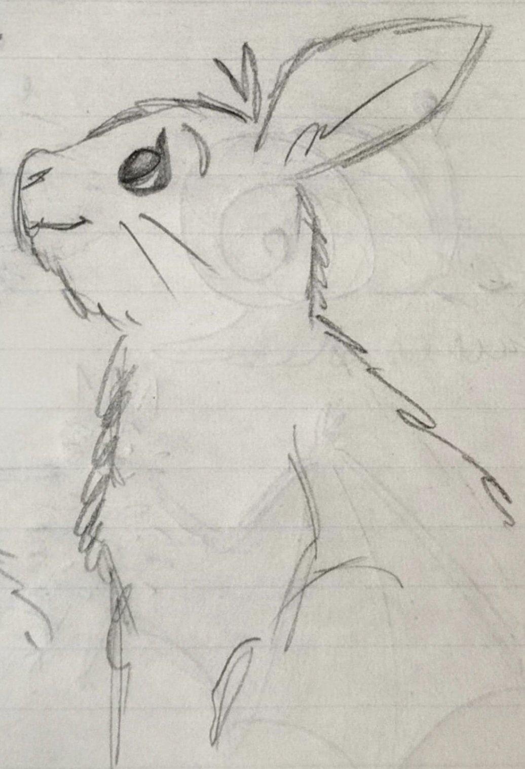 Redesigning Yabbit the Rabbit: Evolving from Anthropomorphic to Animal Character
