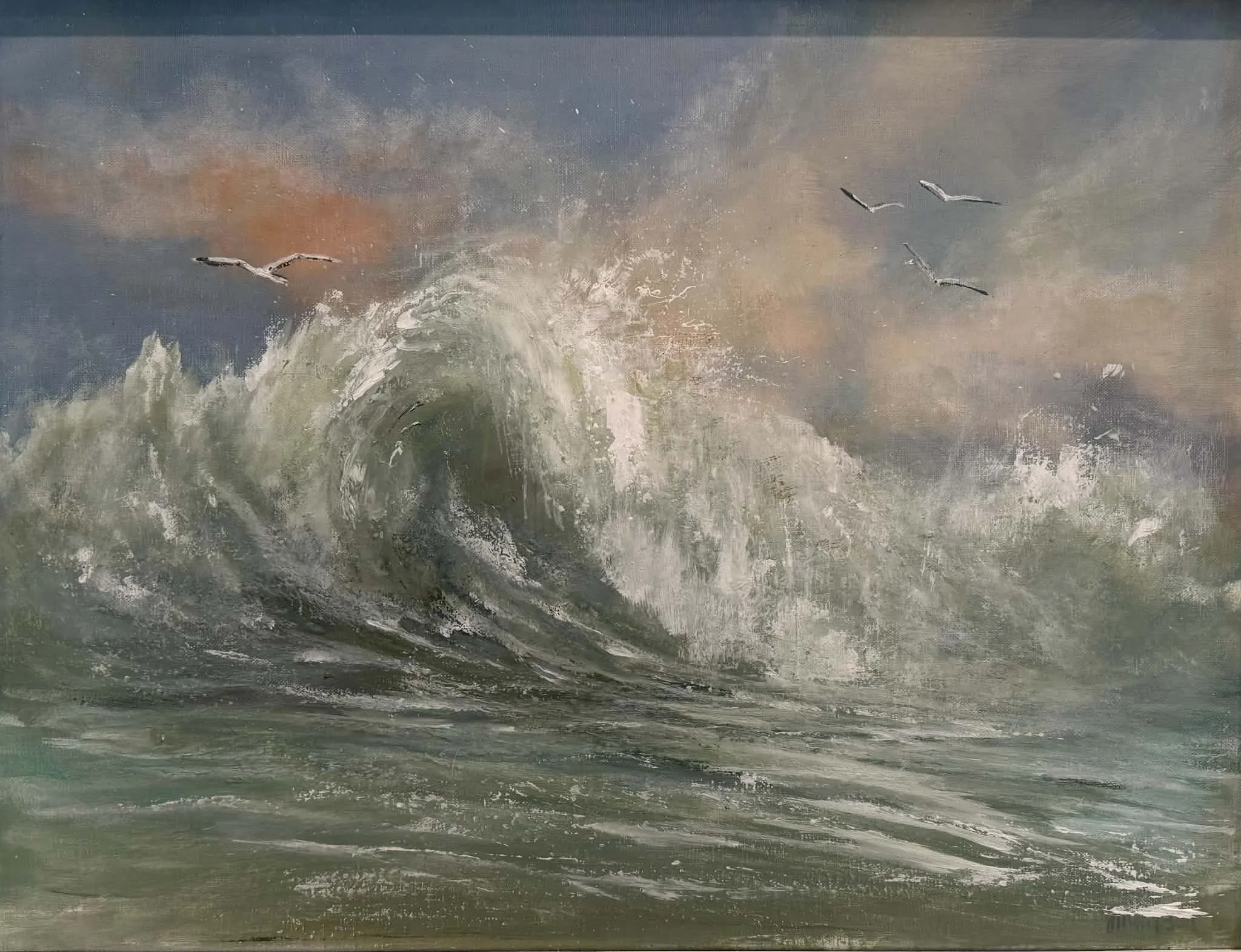 Coast N Gulls