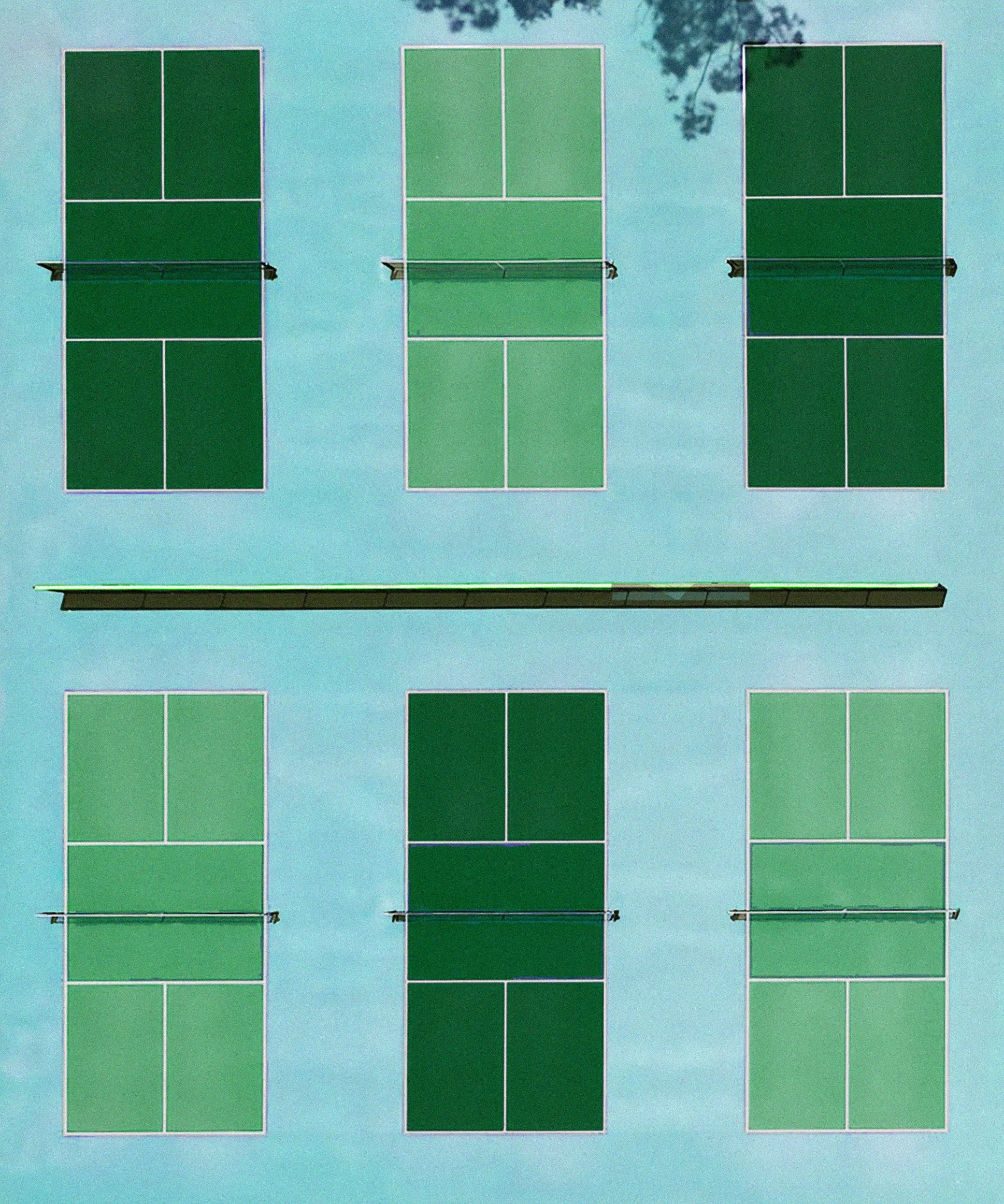 the-woods_pickleball-court_bird-view_greens.jpg