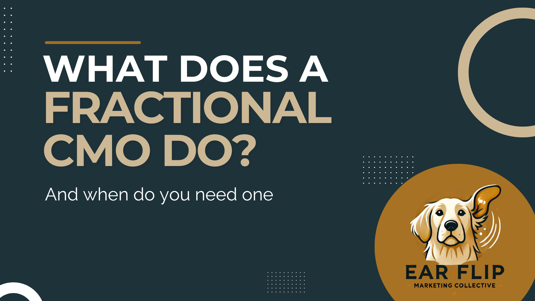 What Does a Fractional CMO Actually Do?