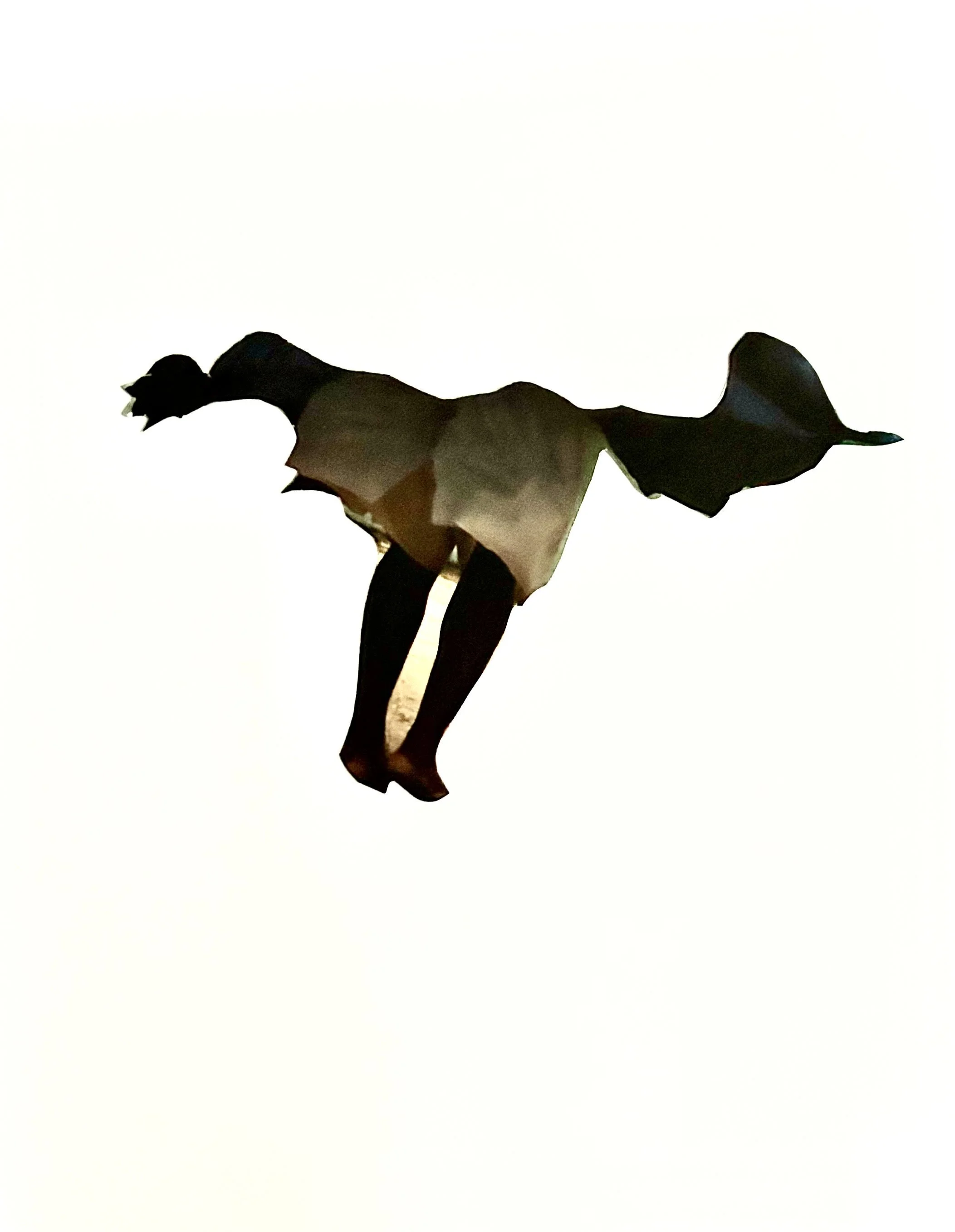 unnamed.jpg