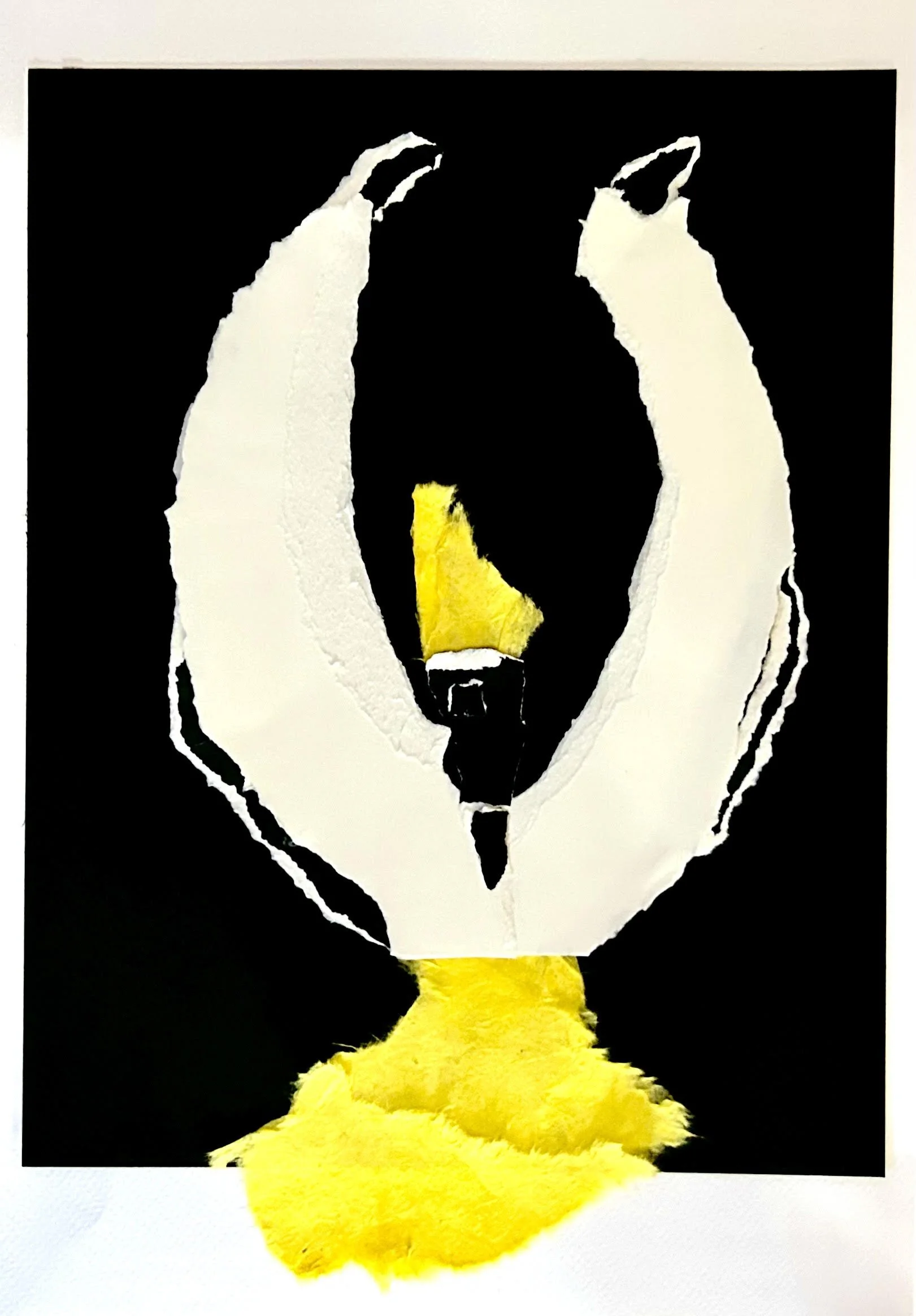 unnamed-9.jpg