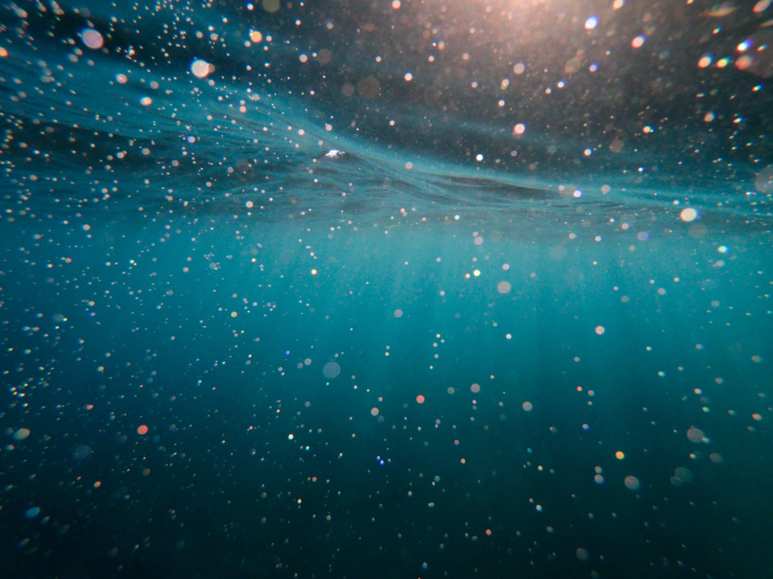 Underwater scene showing particles suspended in blue water with sunlight filtering down from above.