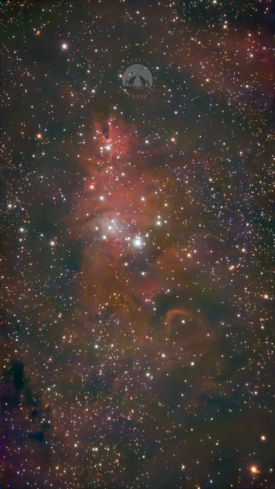 Christmas Tree Cluster and Cone Nebula