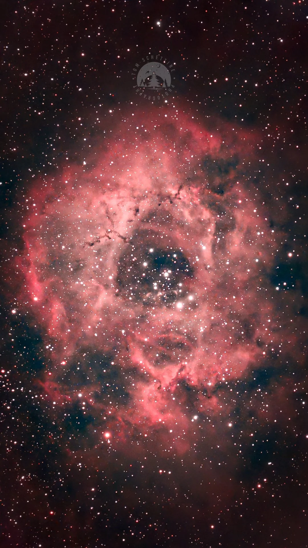 Rosette Nebula