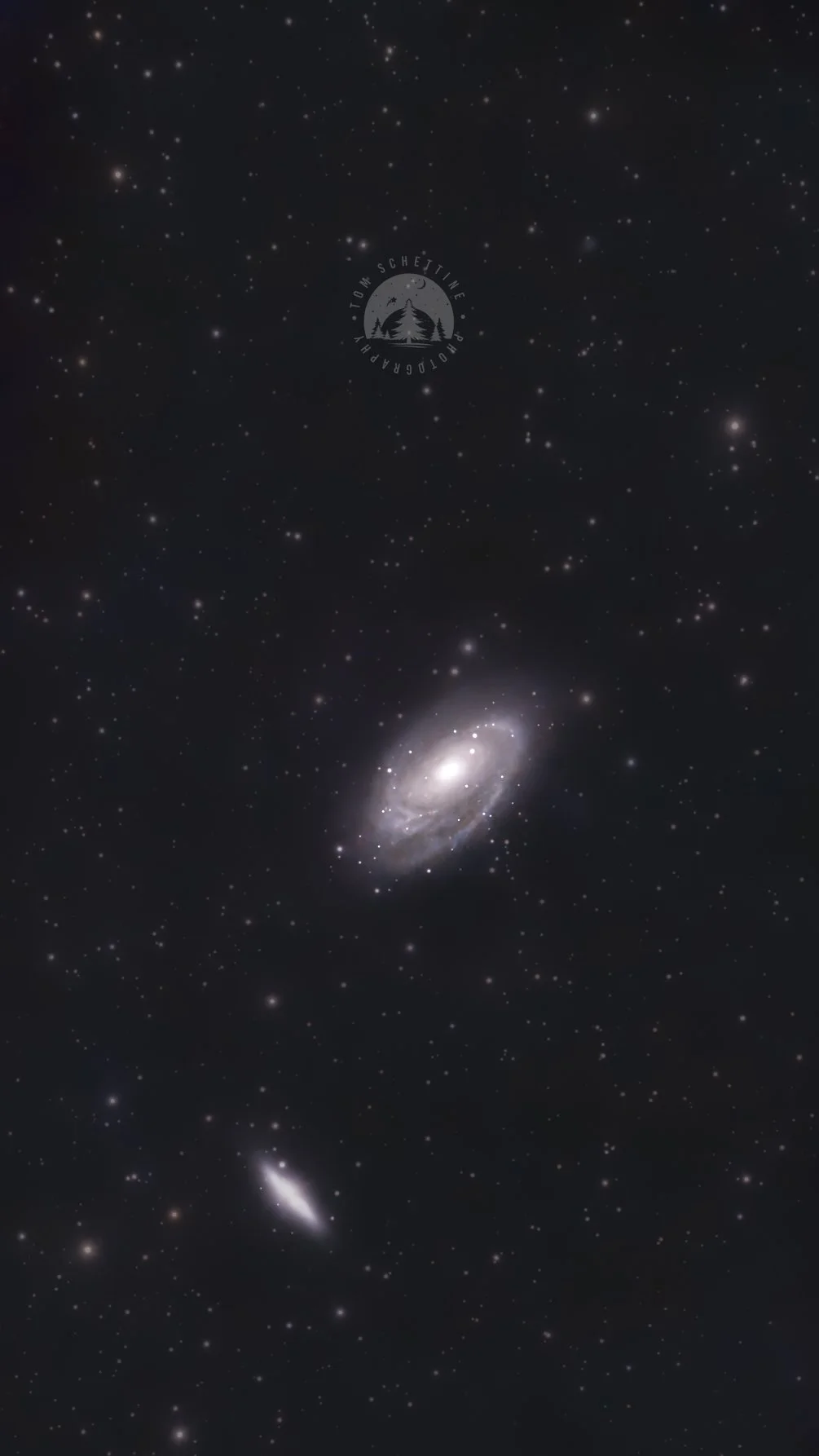 Bode's and Cigar Galaxies