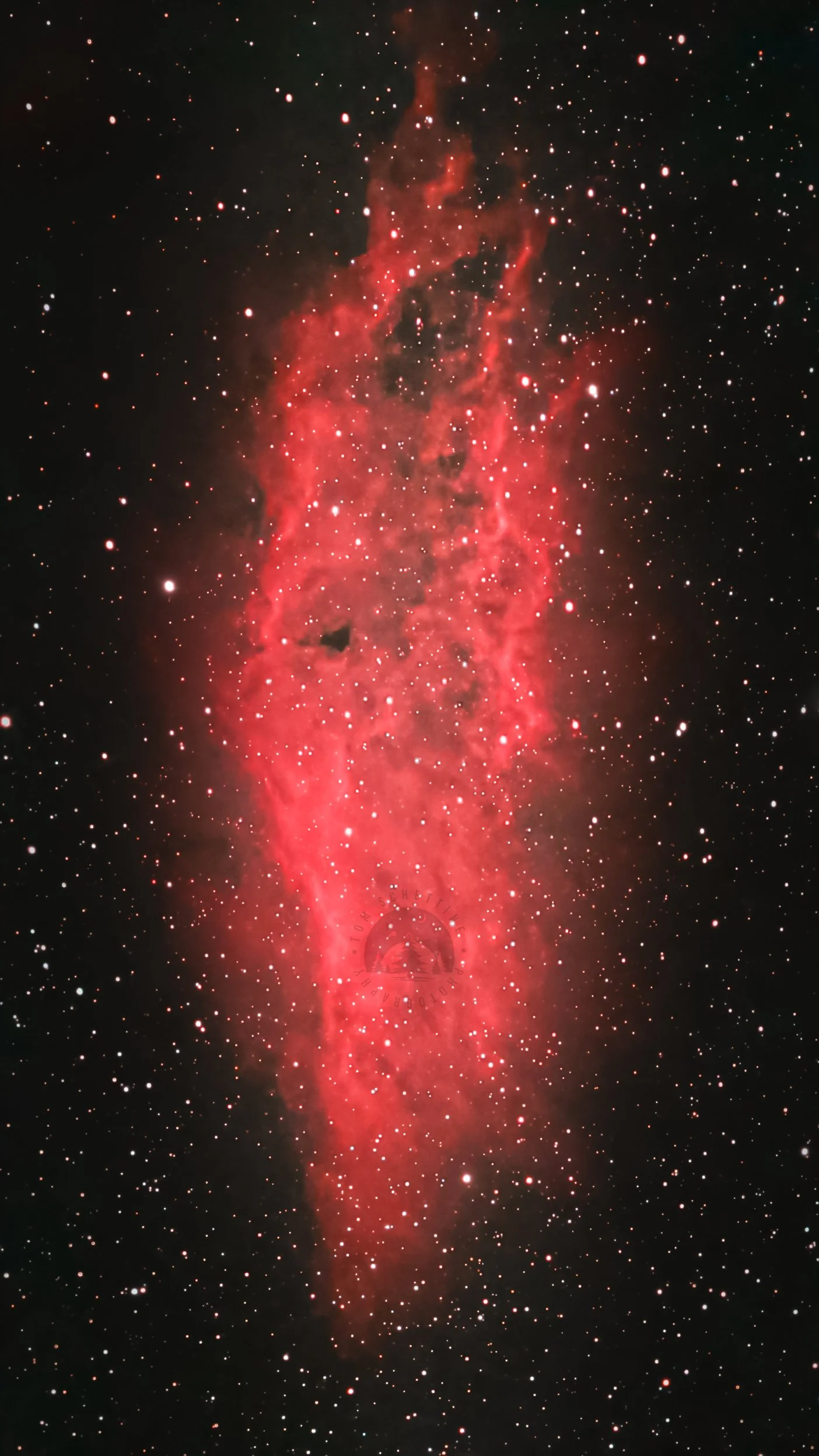California Nebula