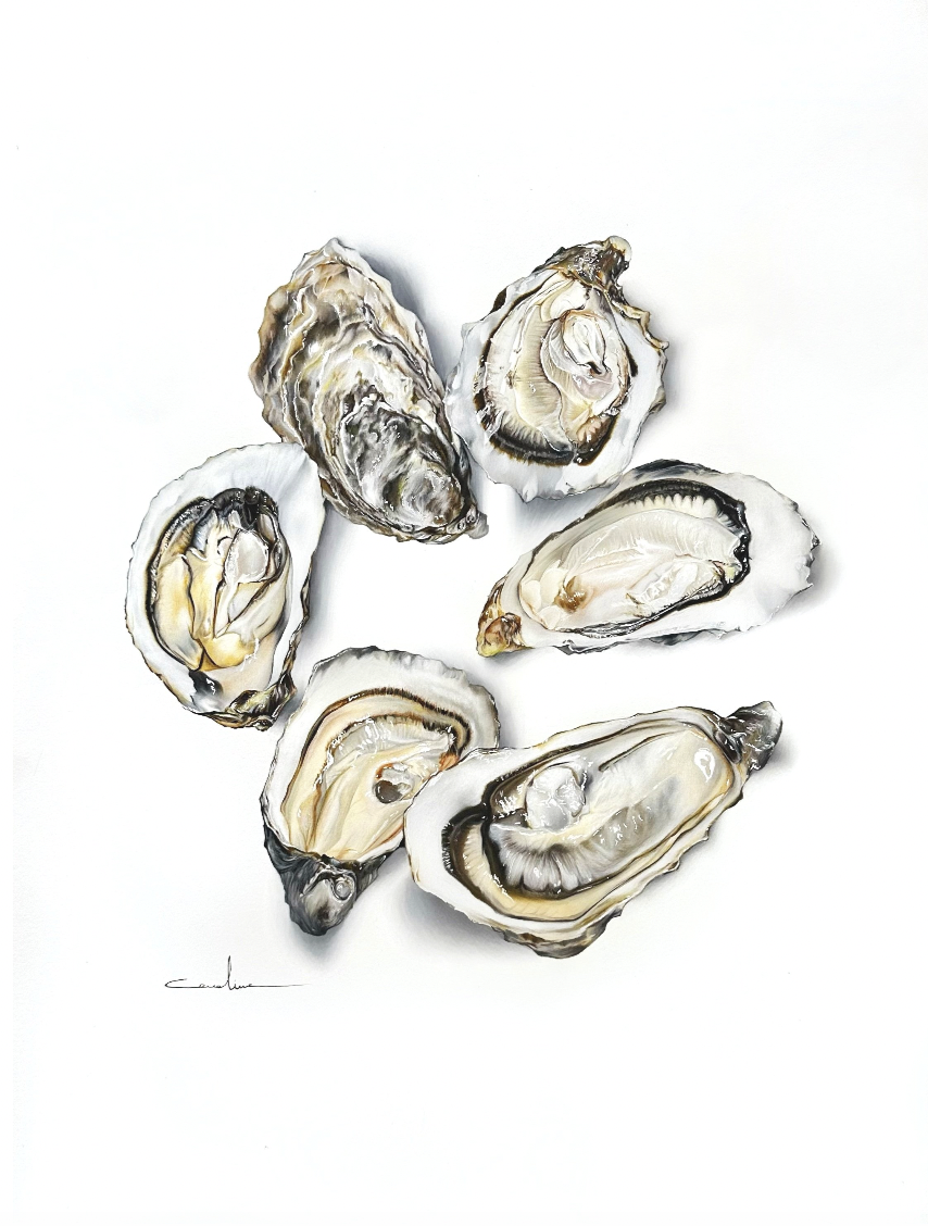 Oysters