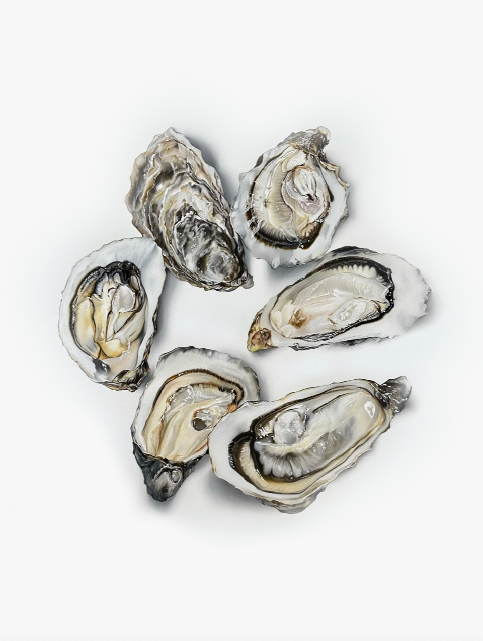 Oysters