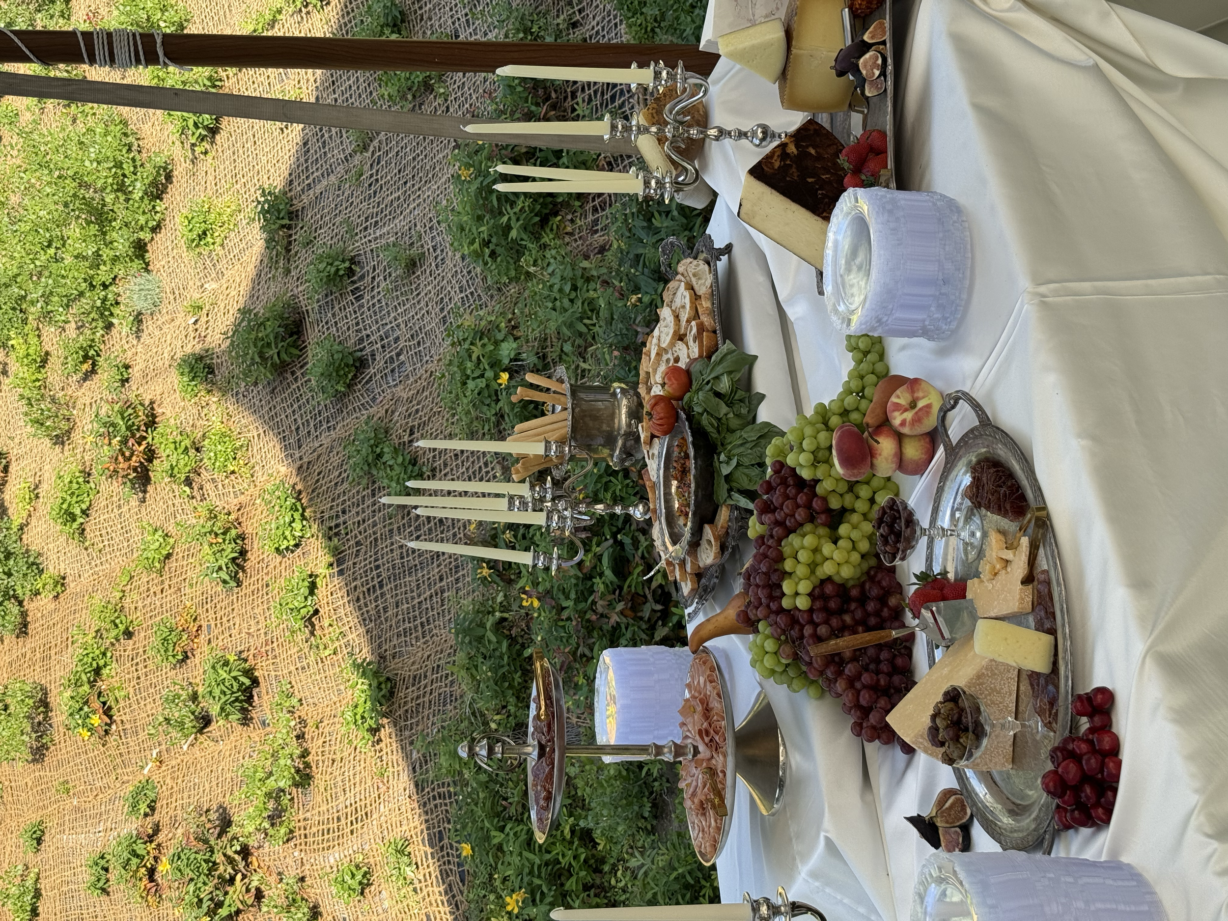 A deconstructed grazing table at an elegant backyard wedding in Bountiful, Utah.