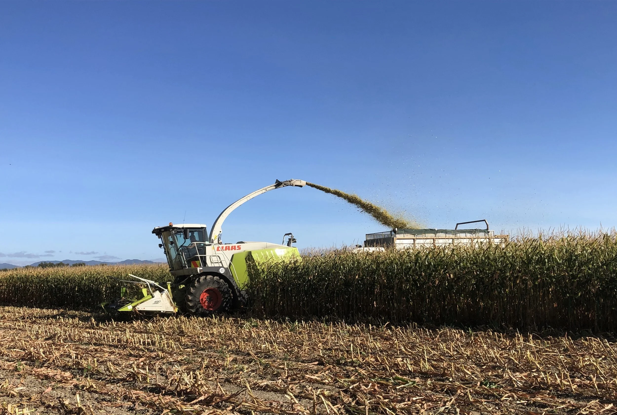 Making Maize Silage the Easy Way