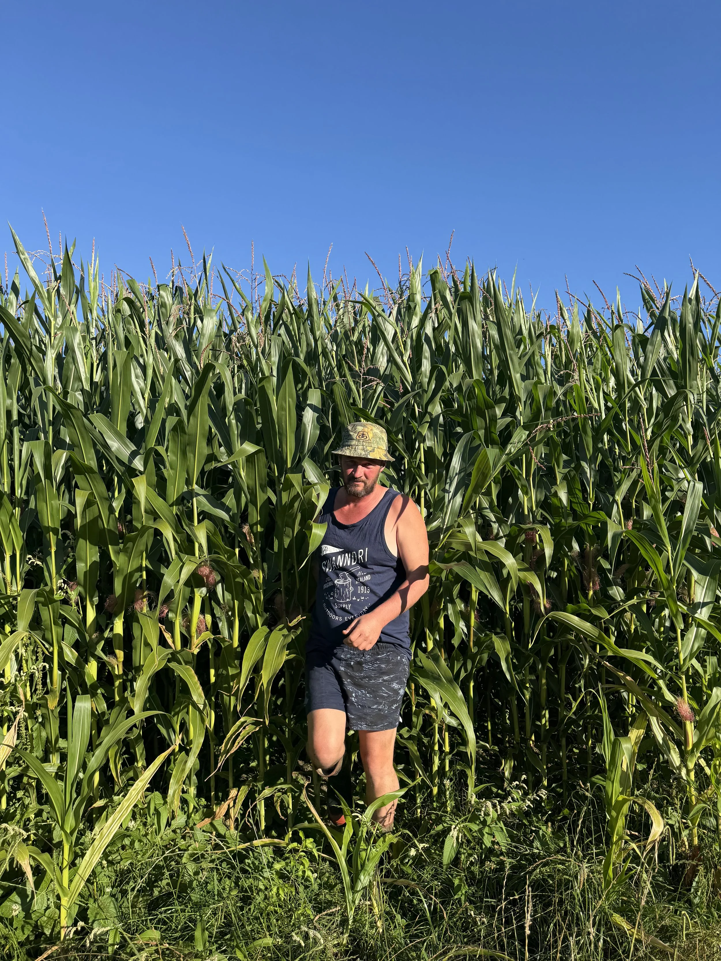 Ironmax Pro wins converts