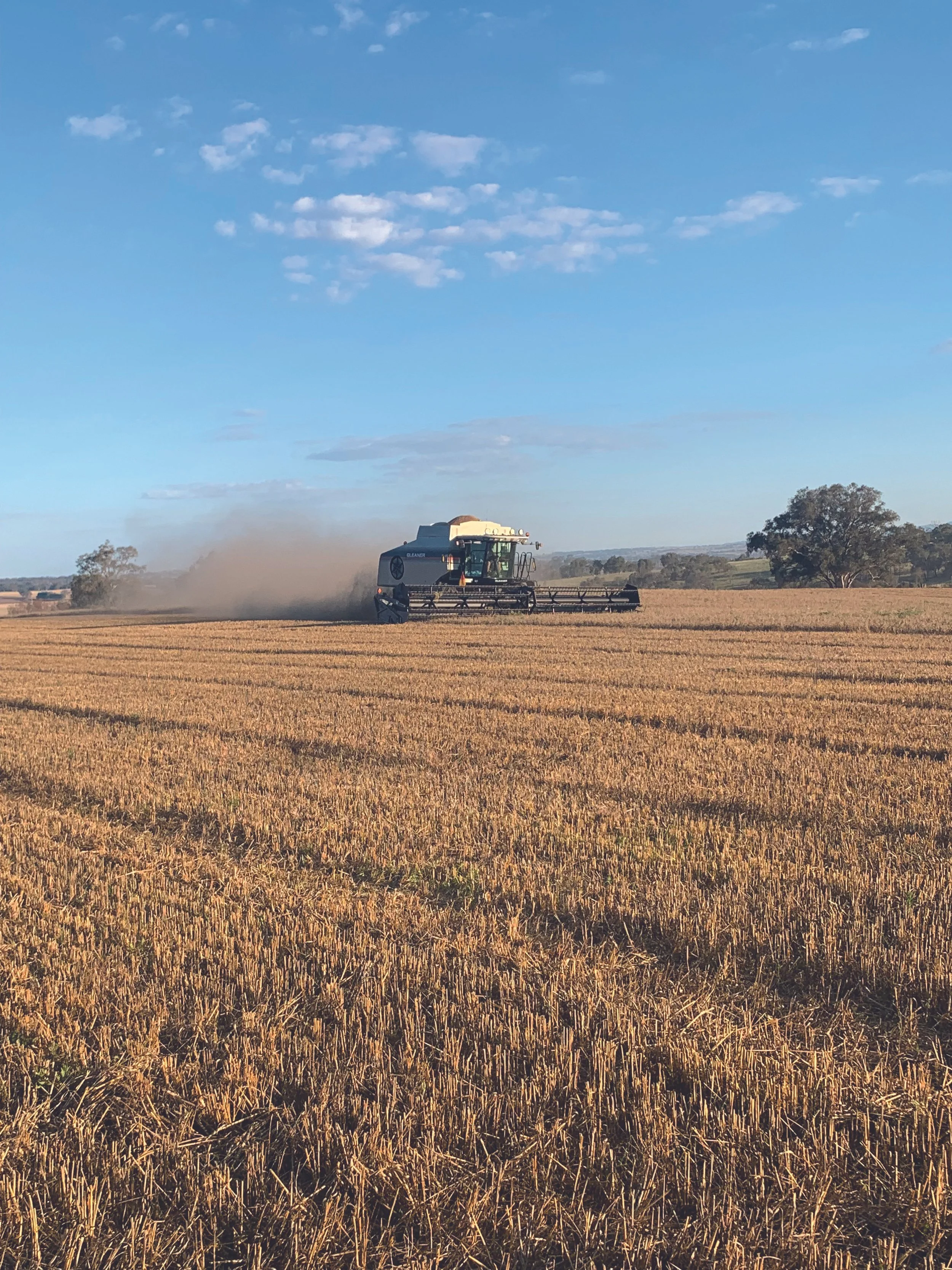 Small farm, smart strategy: How the right mindset and equipment drive success in Central West NSW