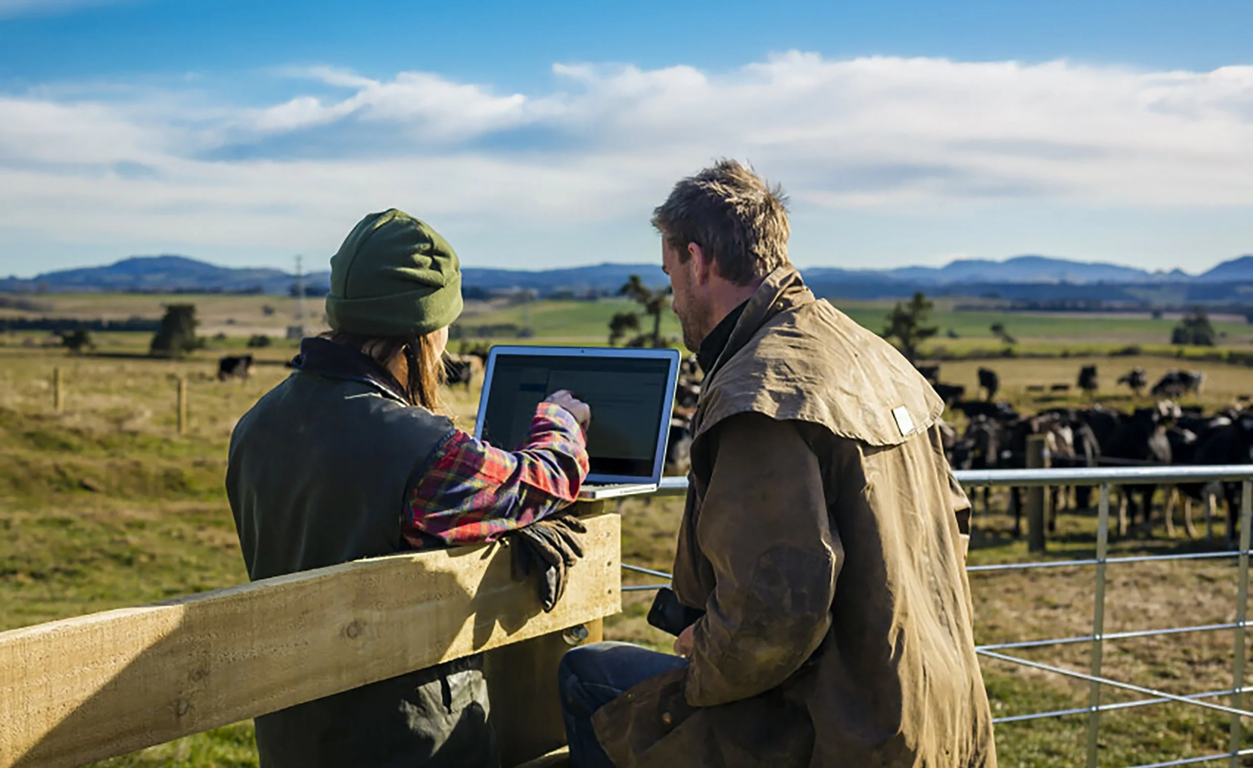 An industry first! AI support lands on New Zealand farms