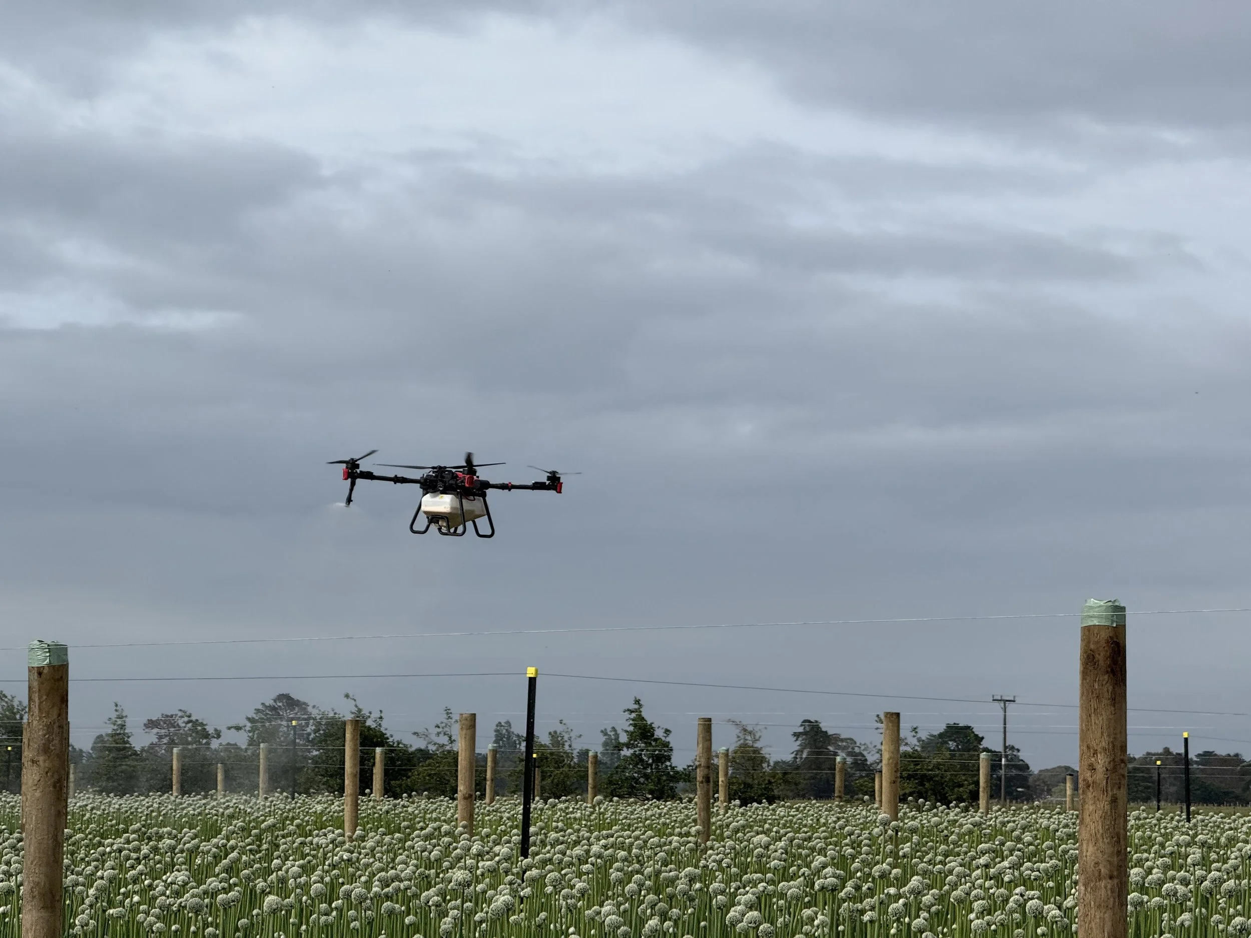 Filling the gaps: How OC Aerial is strengthening modern spray operations with drone technology