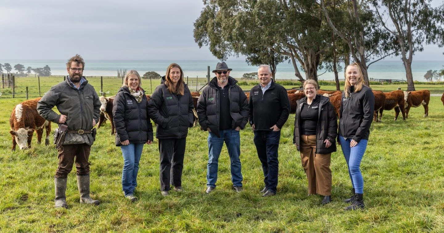 Cool Beef looks to breed more efficient cattle