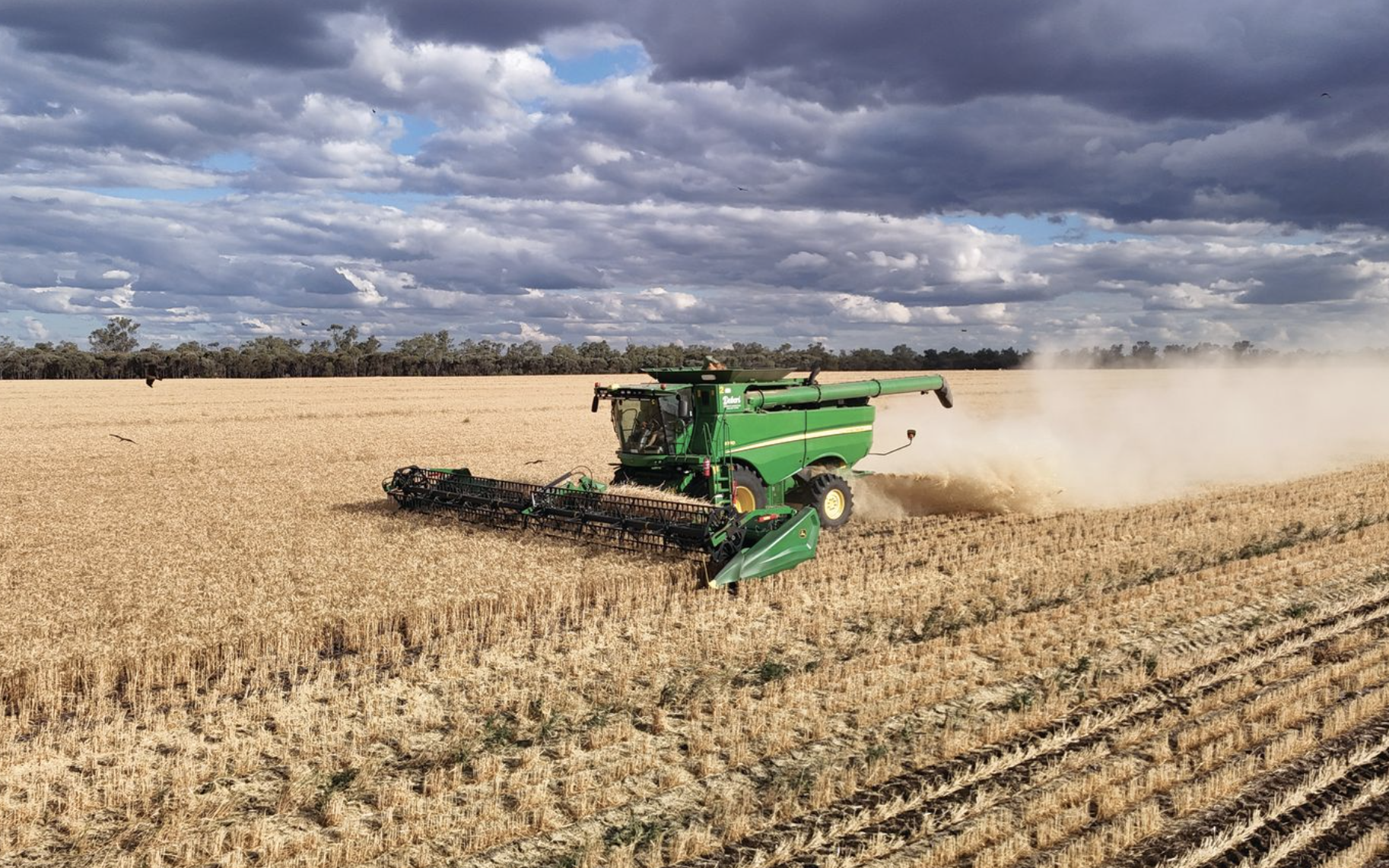 The harvest starts long before the headers roll