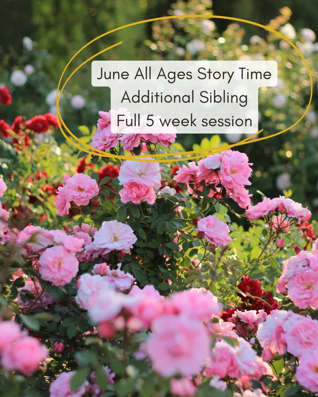 June Additional Sibling - FULL SESSION