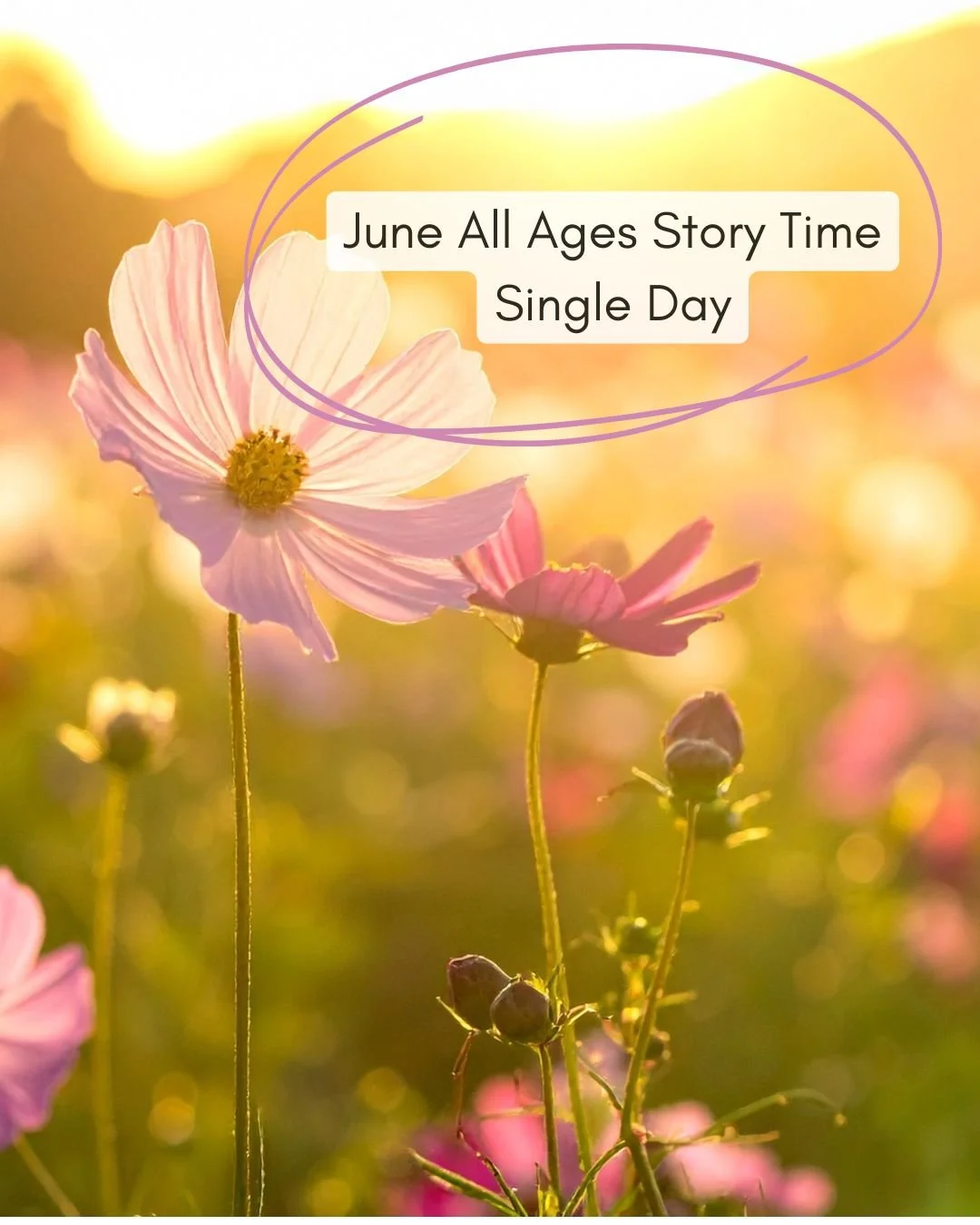 June Single Day