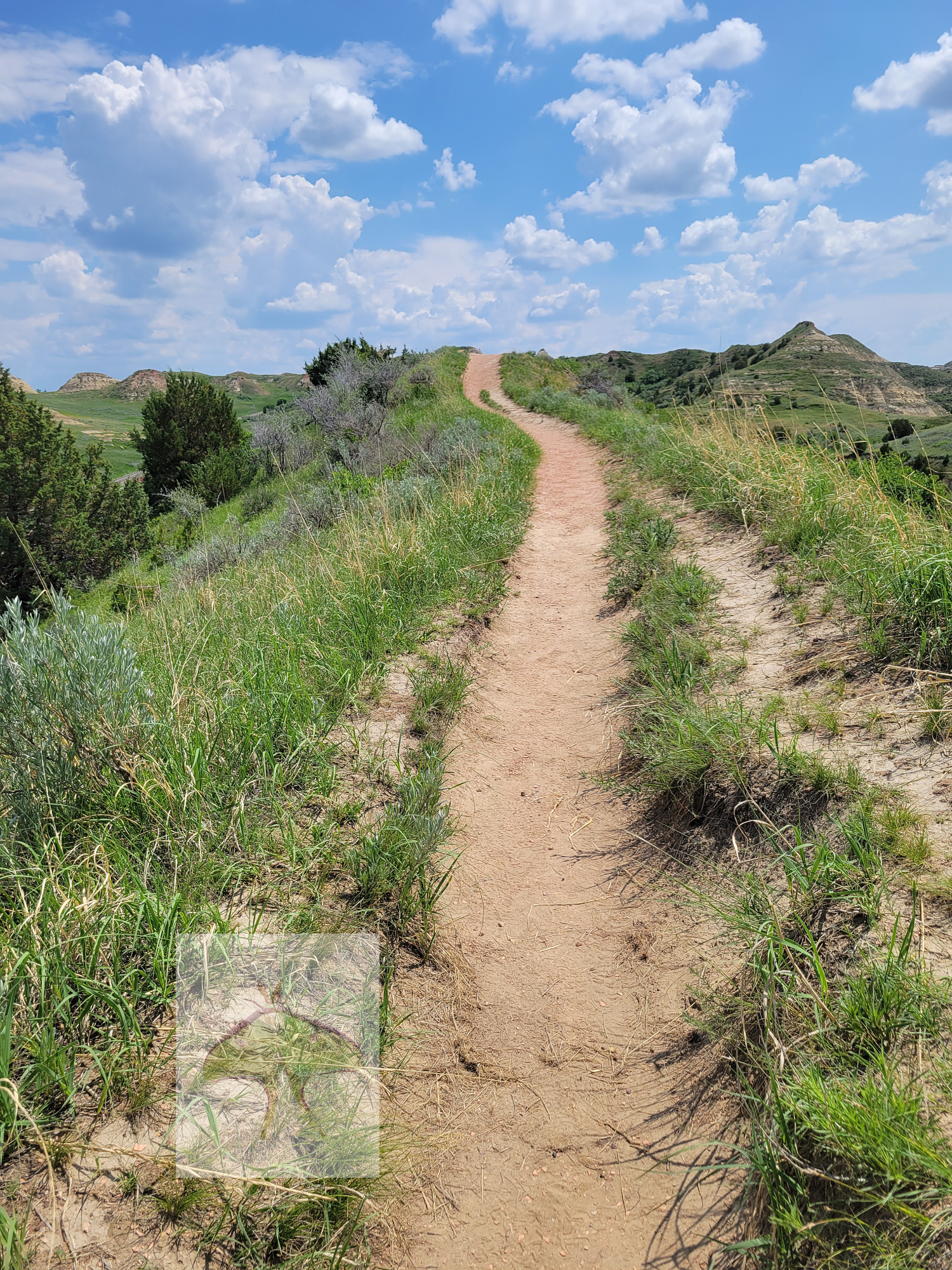 Path to the Sky - We were traveling in South Dakota, and I was looking at the farms and beautiful scenery, when I noticed a path that  must have been traveled many times over.  I got about four shots off and pondered where the path lead.  Was there a