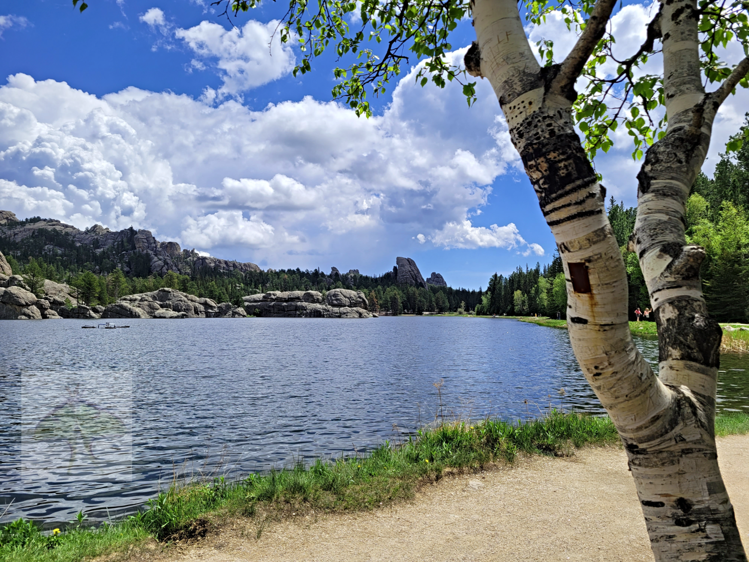 Sylvan Lake-Photographed on a magnificent sunny day, with the bluest sky and white fluffy clouds, a waft of cool air makes the lake ripple in delight. Gazing at this photo, triggers a feeling of a soft breeze on your face, you begin smelling a fresh 