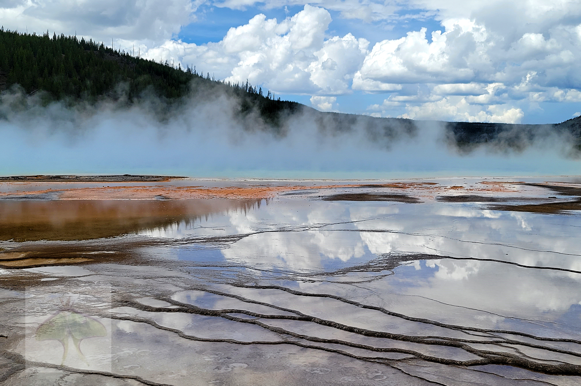 The Grand Prismatic (Limited Edition)-The Grand Prismatic is found in Yellowstone National Park, (USA). Observe the large fluffy white clouds and large mound of pines reflect on the hot water's surface and the ethereal blue mist that drifts across th