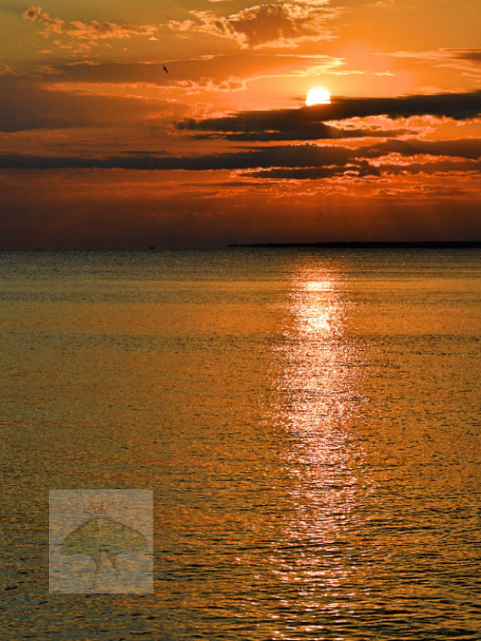 Dawn's Golden Peace - I can remember it being so calm and peaceful, while small waves quietly lapped the boulders beneath us. Feathery clouds were silhouetted against the golden glow of the sun as it slowly rose and reminded me that we all have this 