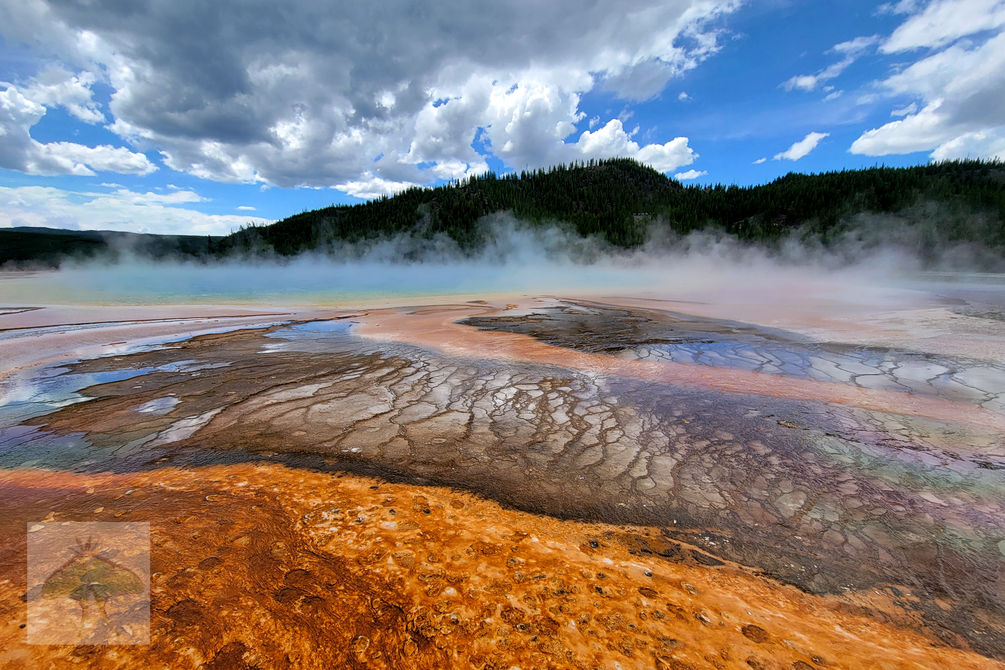 Thermal Tapestry (Limited Edition) - This natural sauna of the Yellowstone National Park (USA), is full of microbes creating hues of blue, yellow, green and rust. Vines, created by tiny microbes, blanket the shallow floor of the spring, casting an en