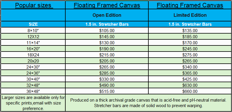 Pricing table comparing open and limited edition floating framed canvases in various sizes, with prices ranging from $105 to $660.