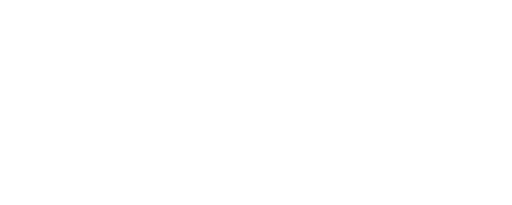 White Dynamic Finance logo variation