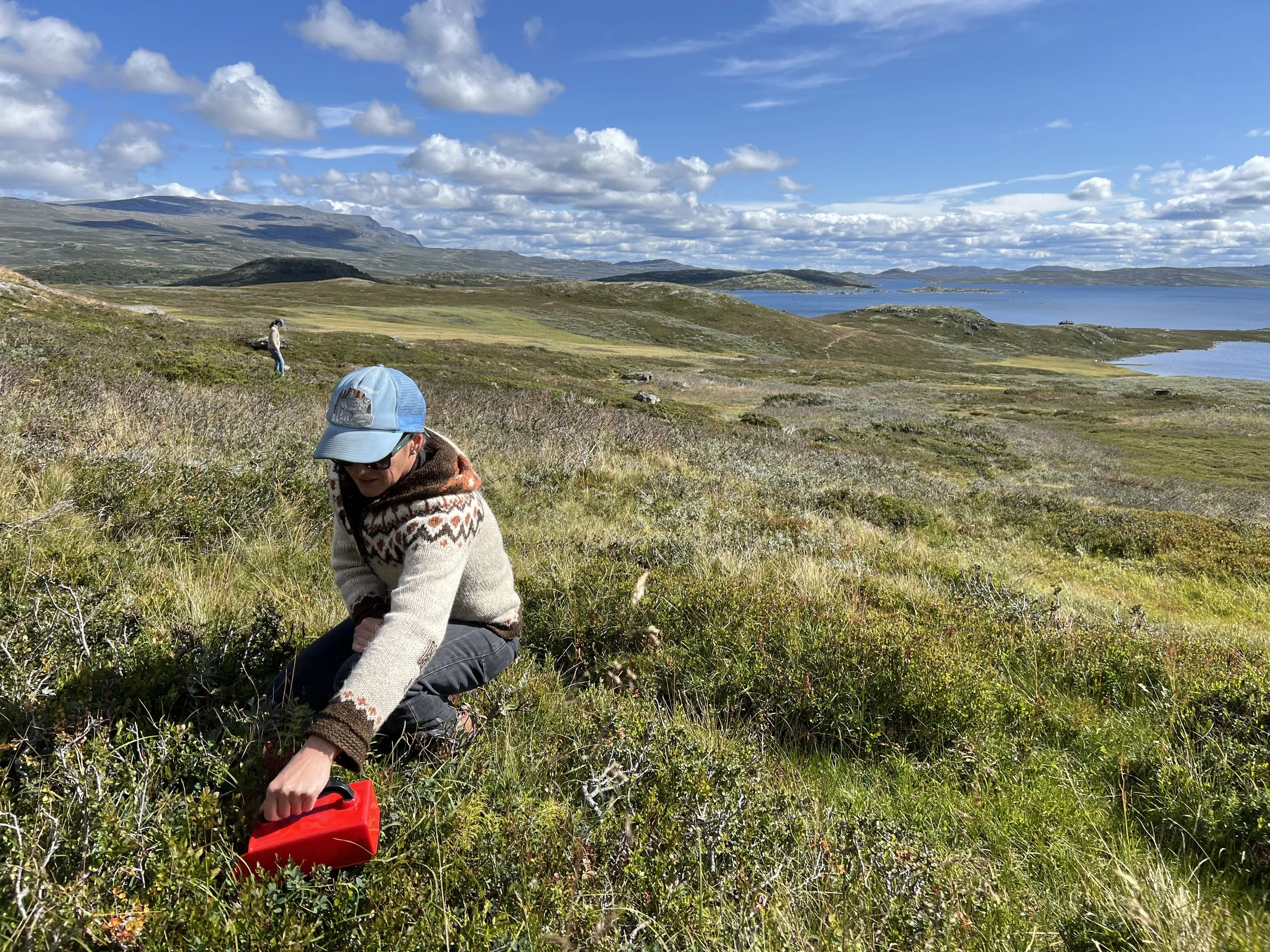 Harvesting is Berry Good, Part 1