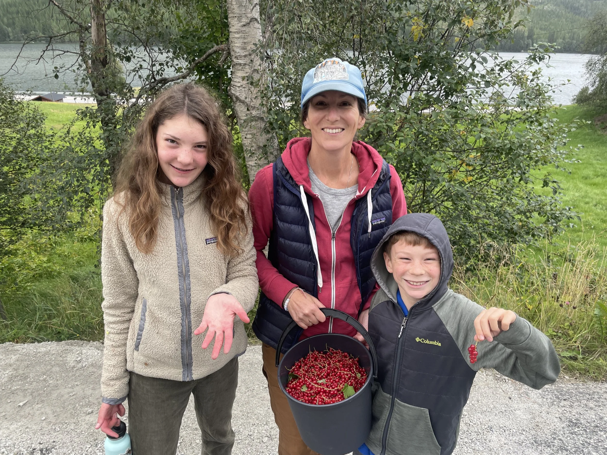 Harvesting is Berry Good, Part 3