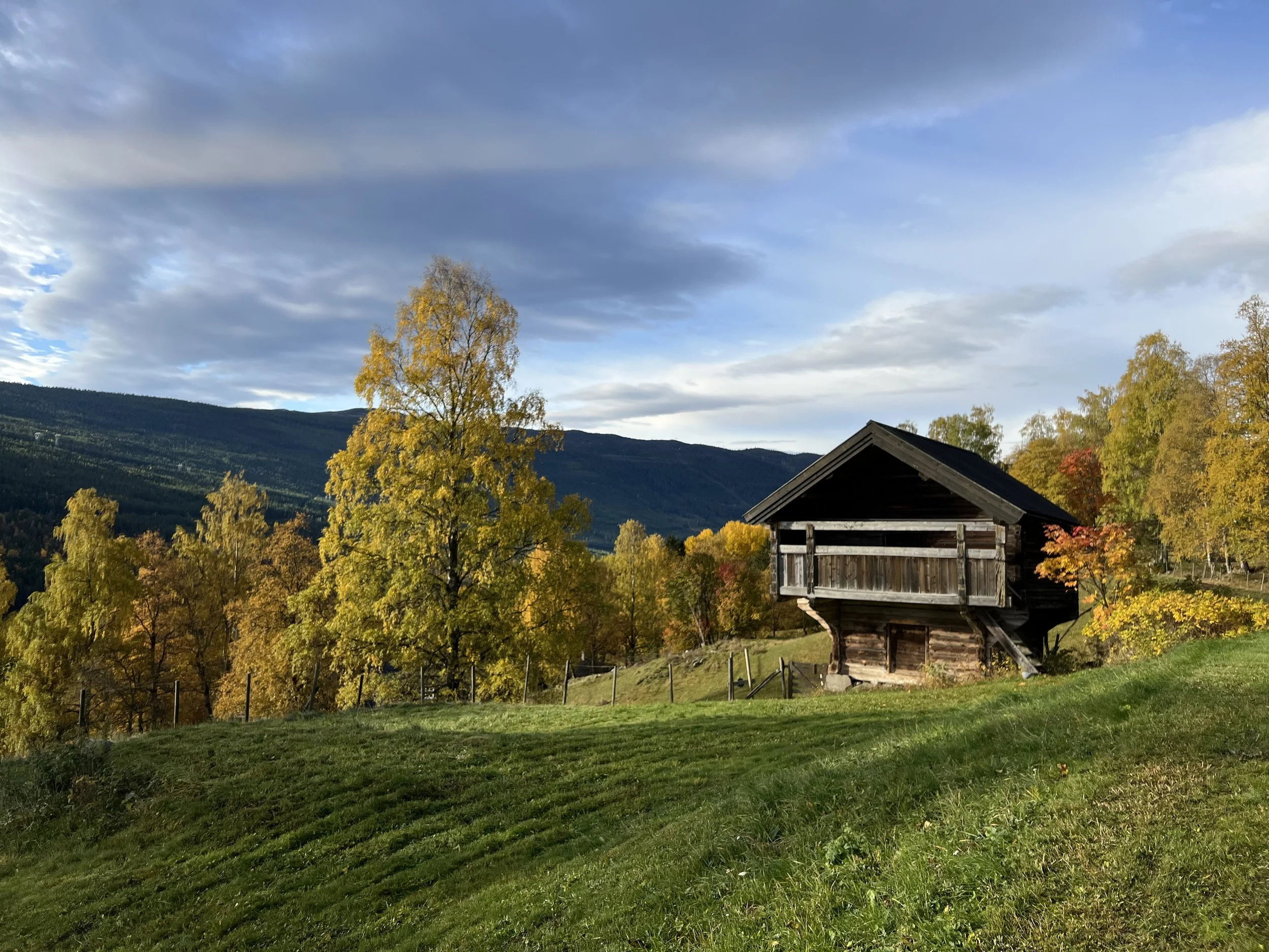 Fall in Ål (and other places)