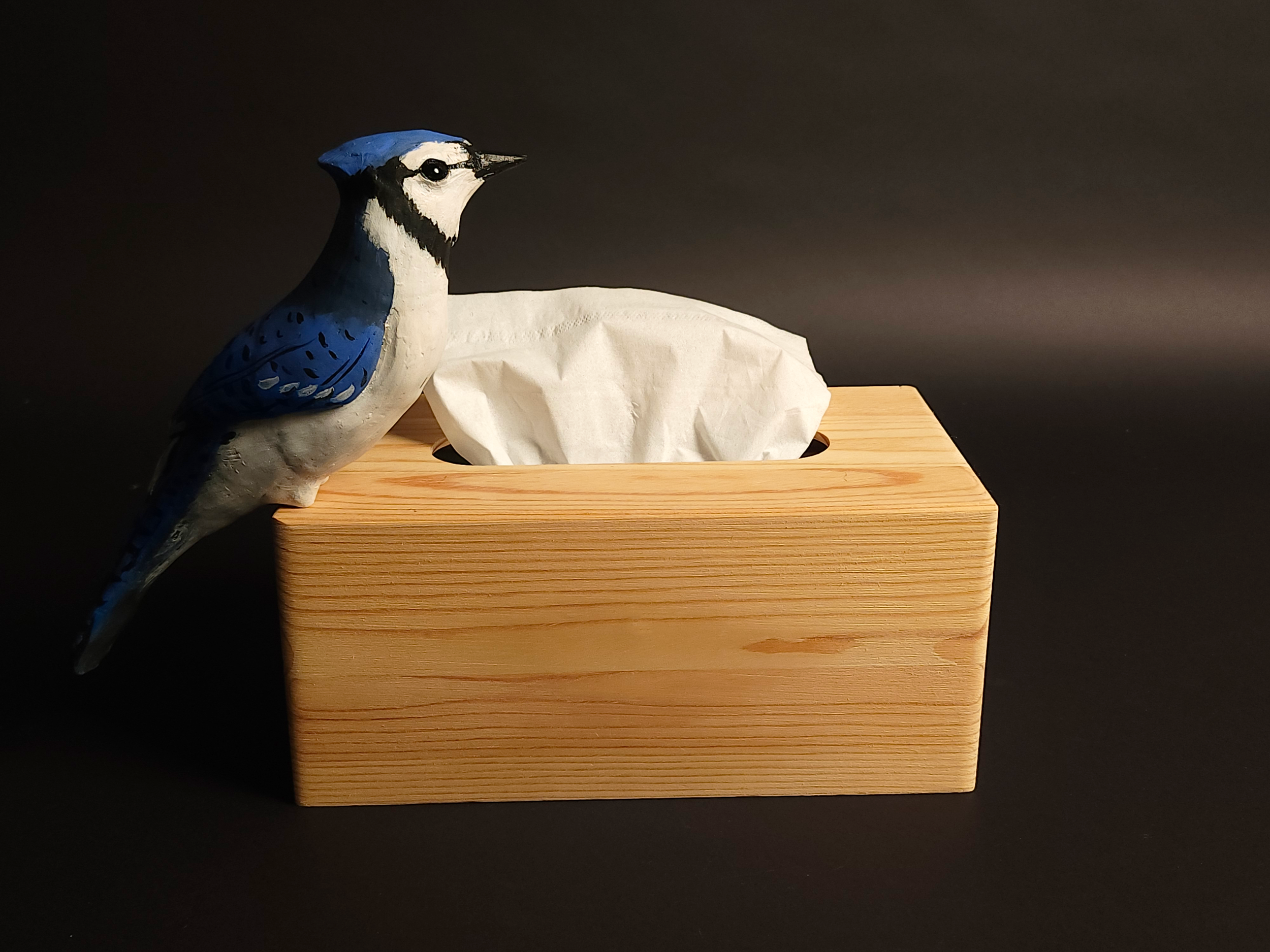 Enmeshed Discipline Series, 2025