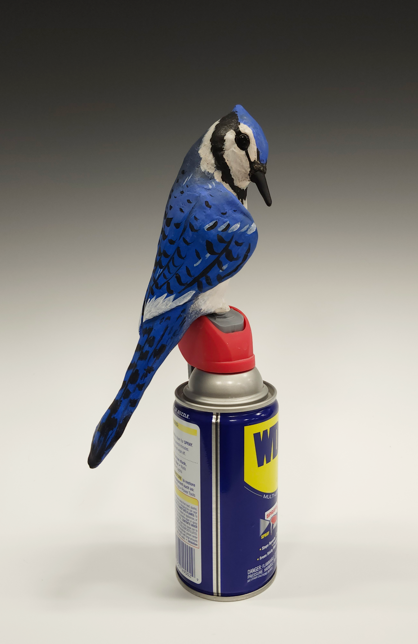 Enmeshed Discipline Series, 2025, Ceramic, Paint, Found Objects