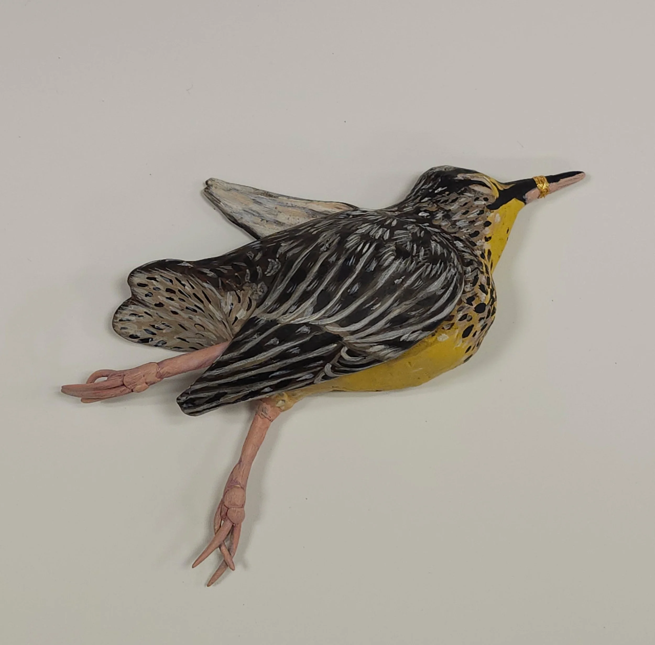 Oppressed in the Midwest, 2025, Ceramic, Paint