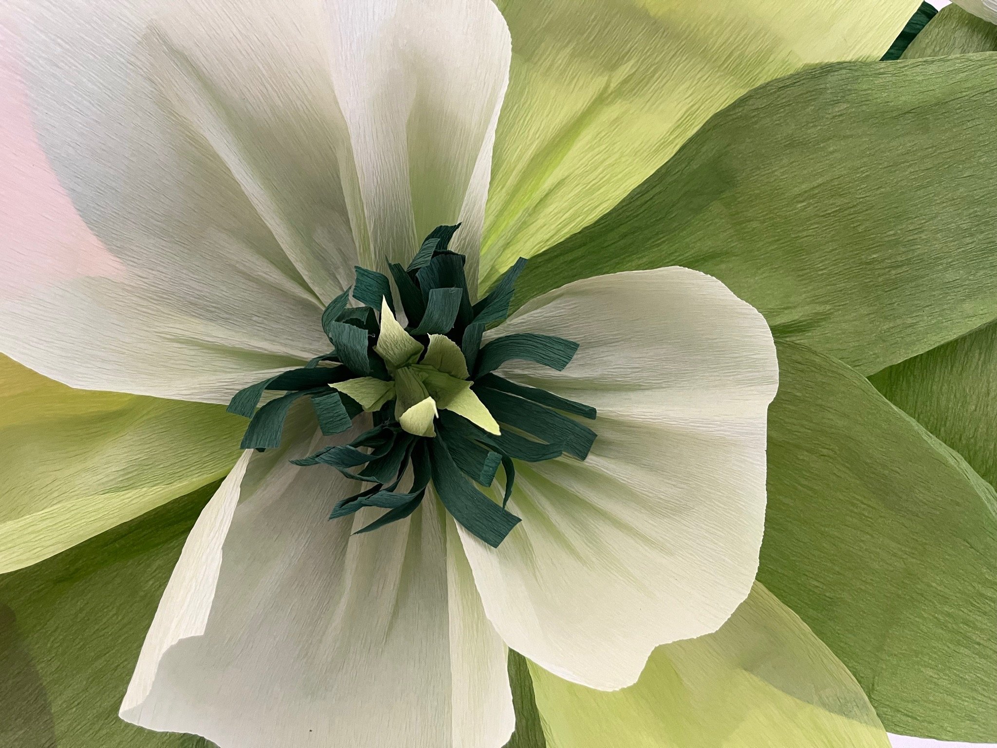 Close-up of a large, artificial flower made of white and green paper with green petals.