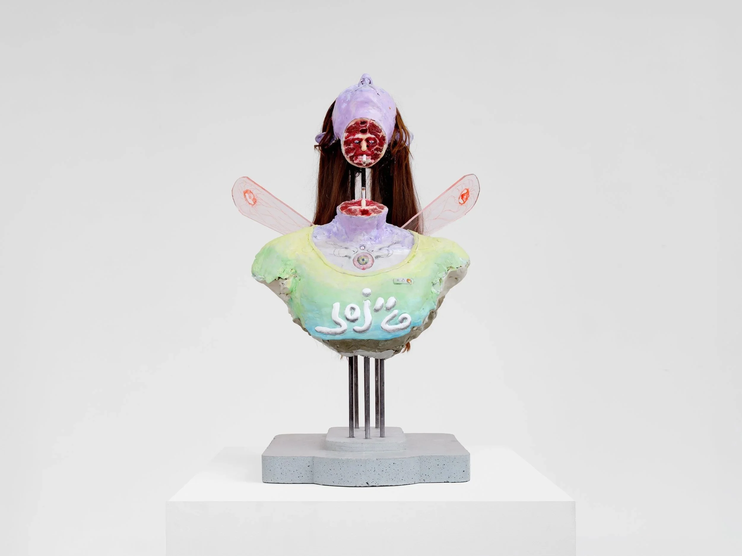 David Altmejd: Psychic Surgery