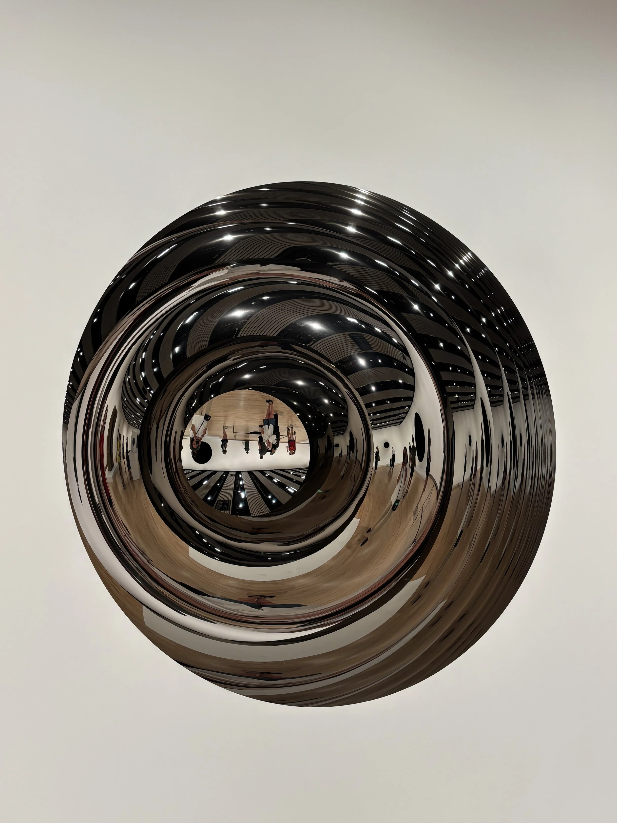 Anish Kapoor, Iris 1, 1998