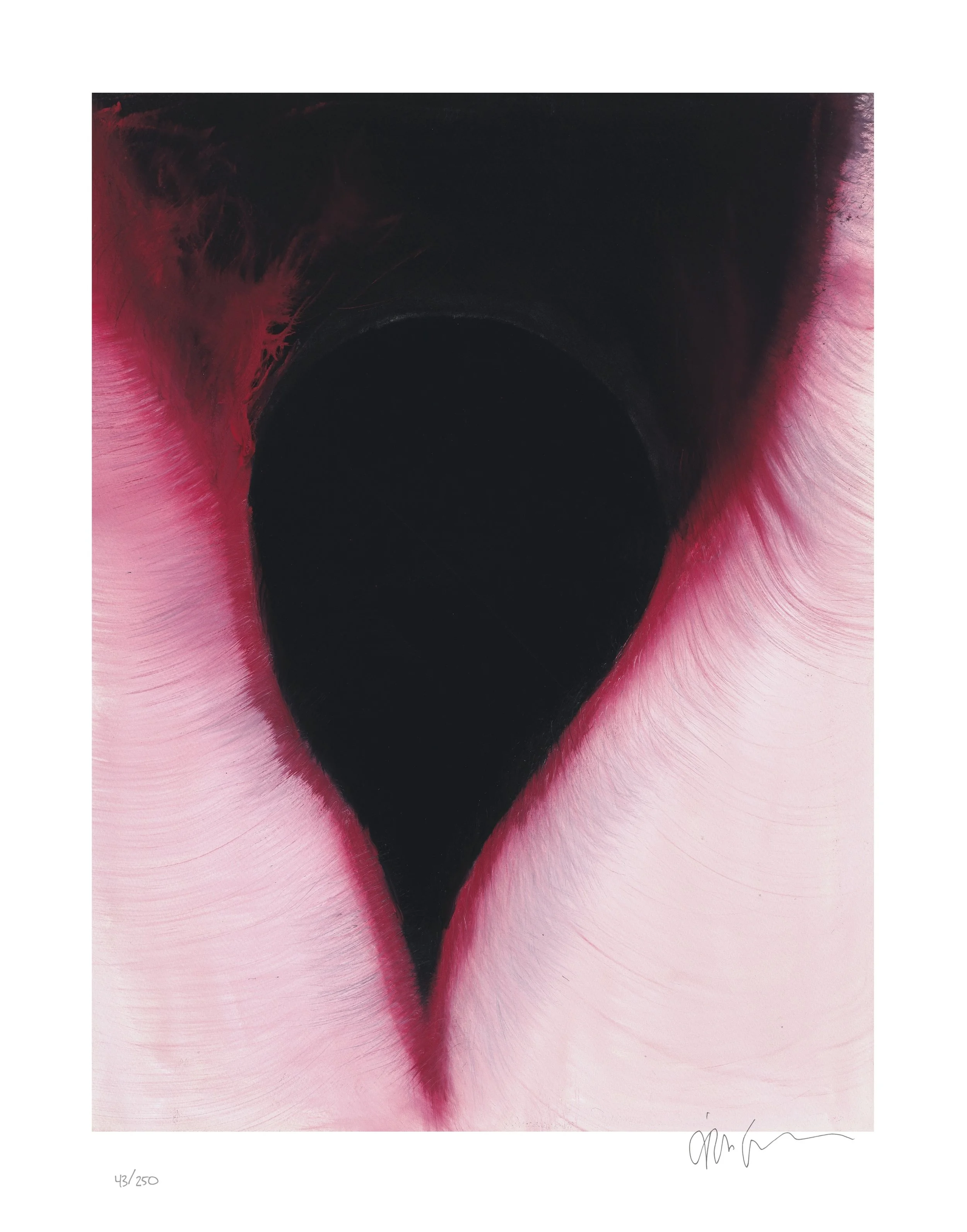 Anish Kapoor: Enter The Void