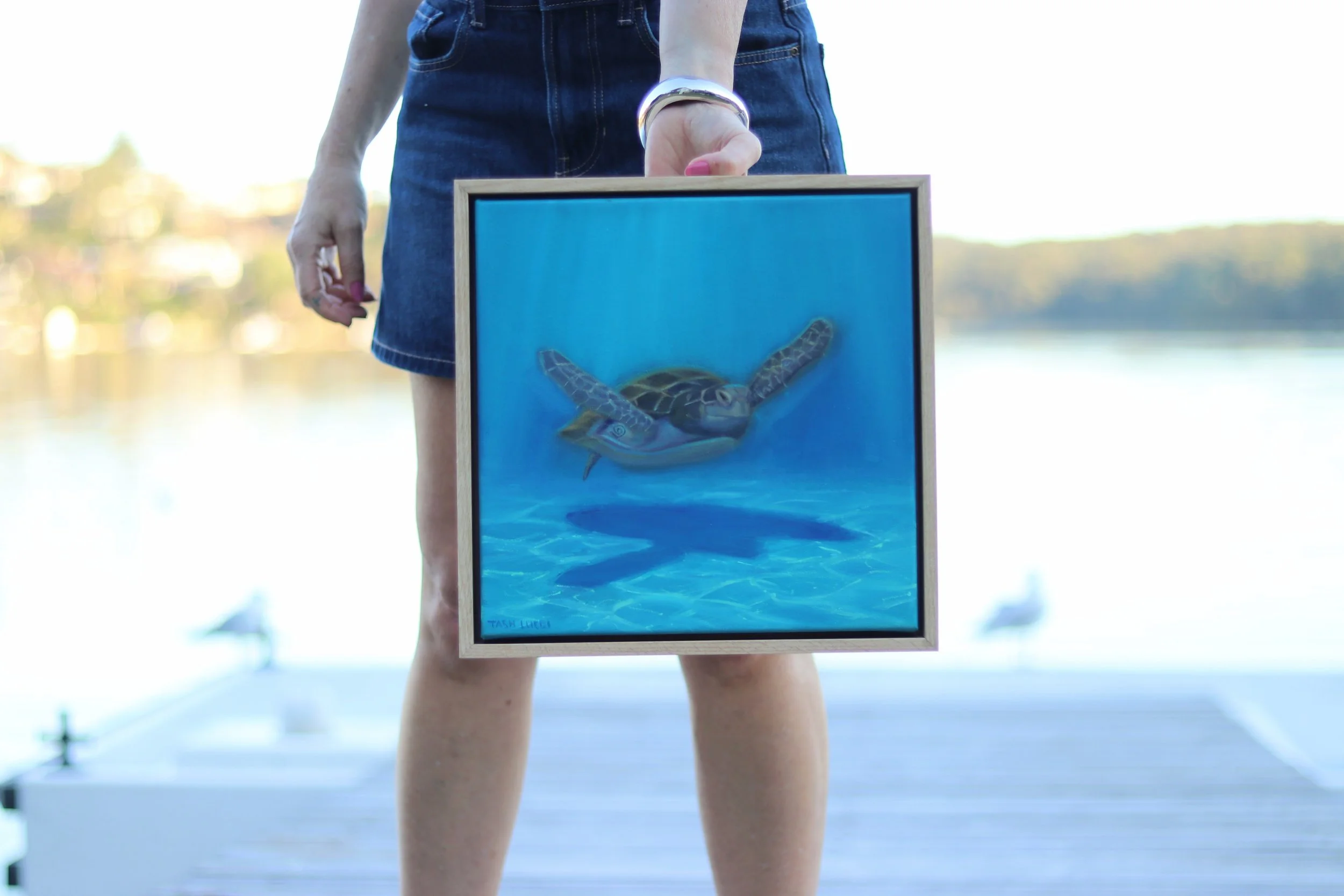 coastalpaintingturtle