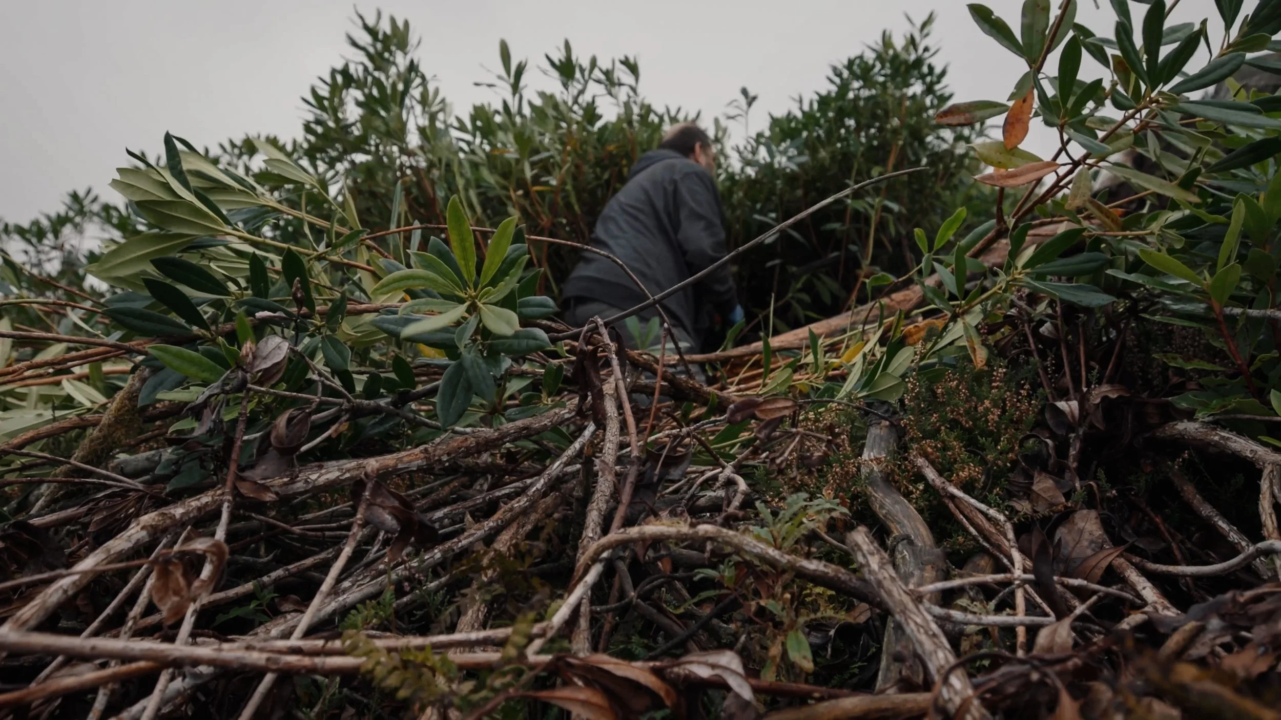 Dùthchas_FINAL SCREENER_NO SUBS.00_03_20_03.Still006.jpg