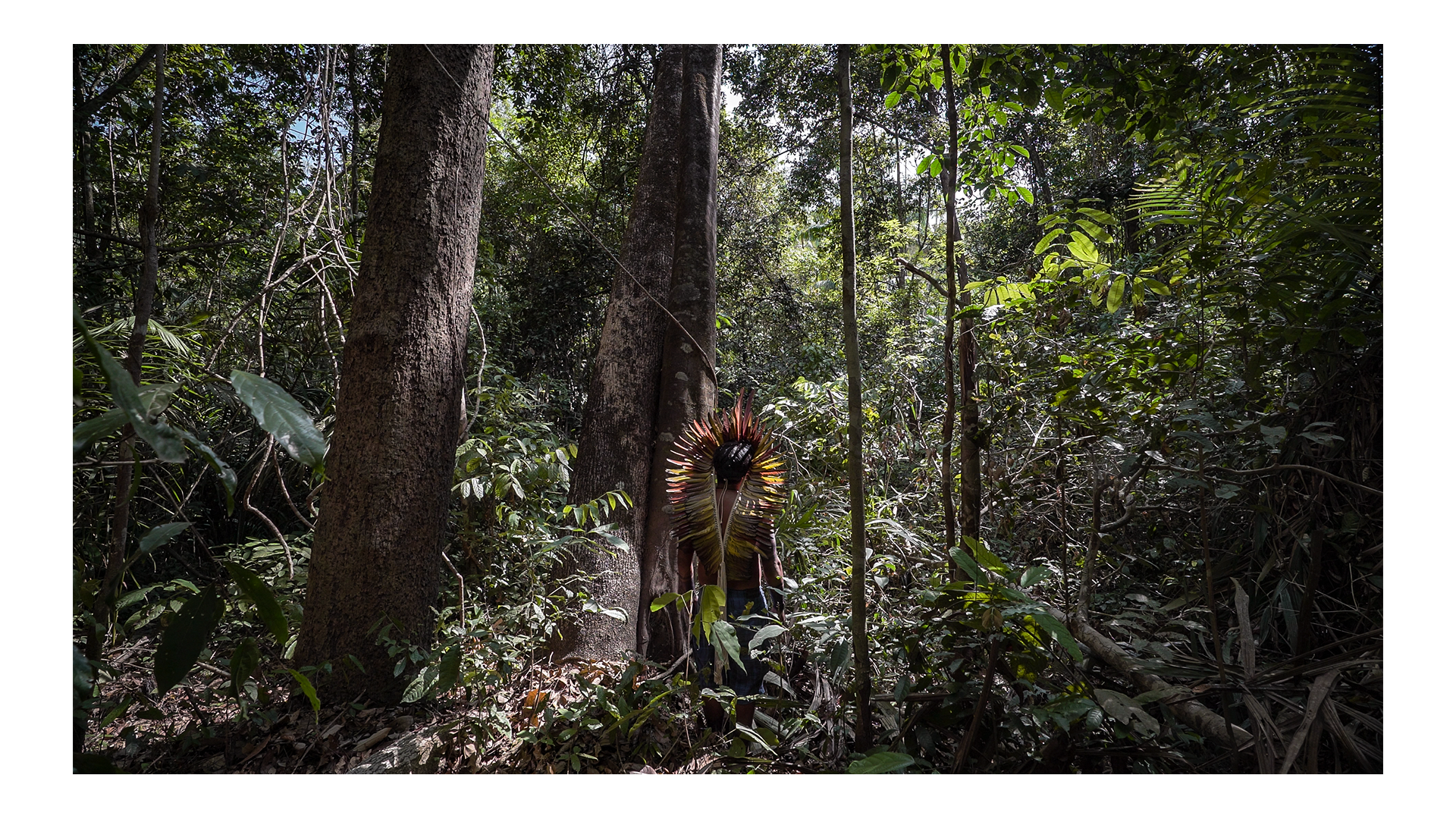 NY Arariboia footage framed.png