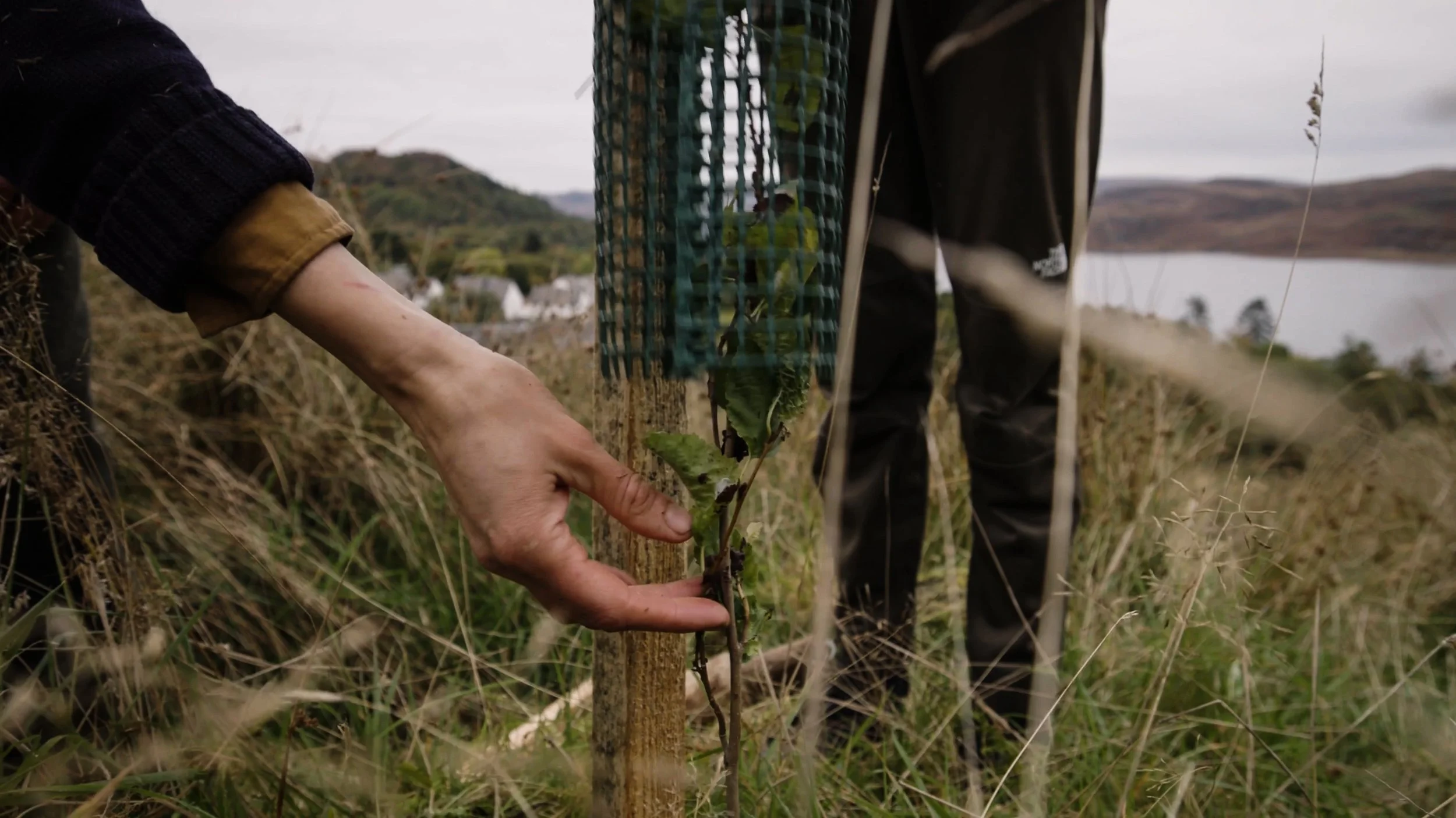 Dùthchas_FINAL SCREENER_NO SUBS.00_08_56_24.Still011.jpg