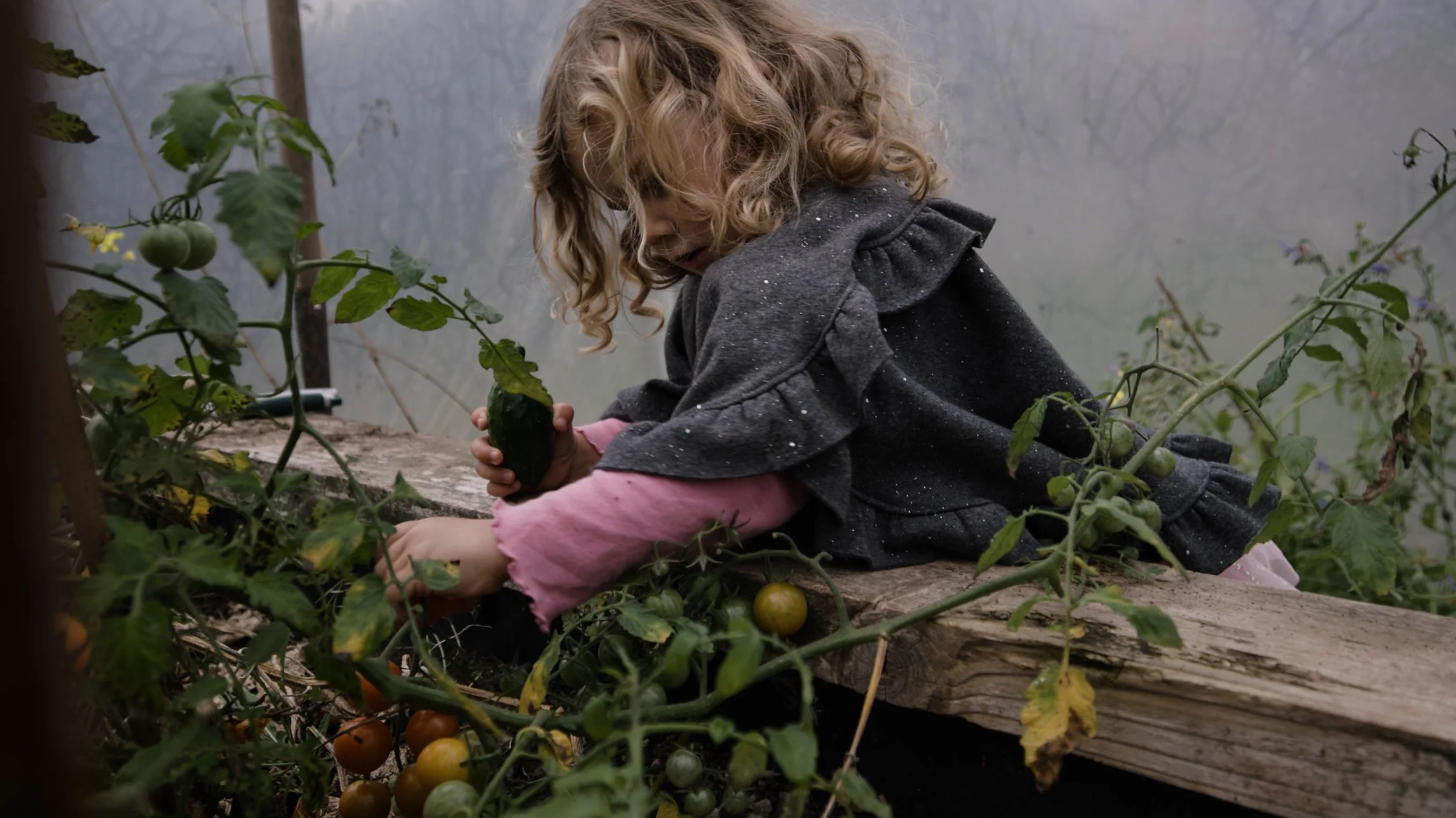 Dùthchas_FINAL SCREENER_NO SUBS.00_09_45_17.Still012.jpg