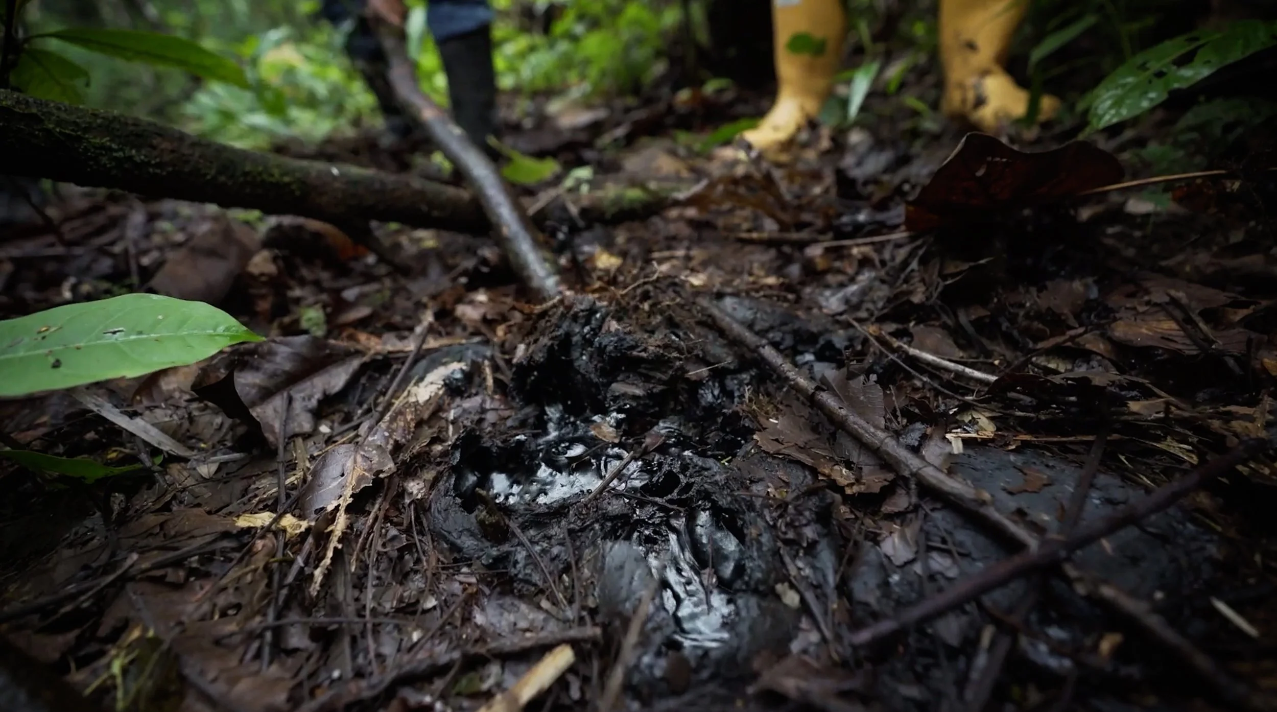 Captura de Pantalla 2025-09-12 a la(s) 2.48.41 p.m..jpg