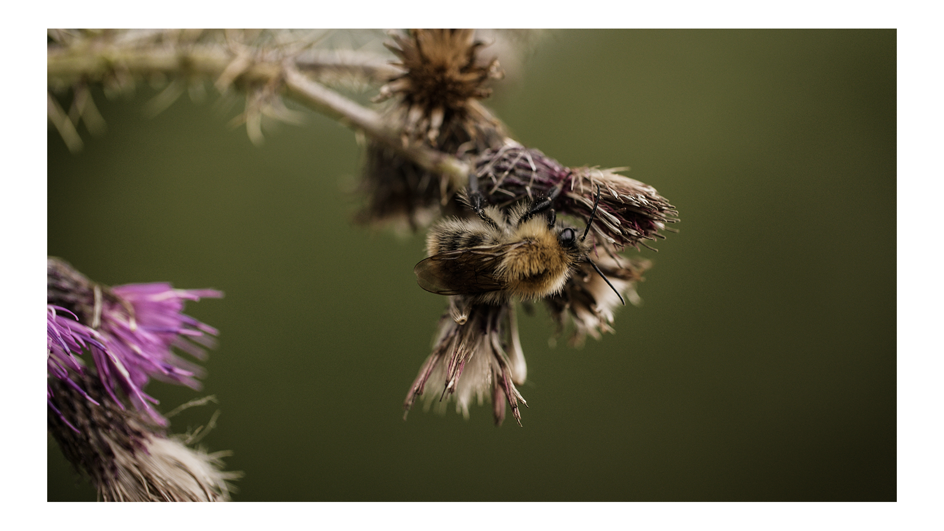 So far so good.00_01_32_26.Still007.png