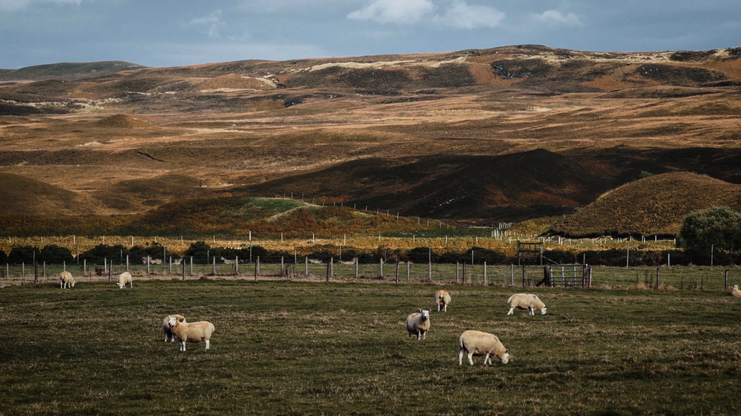 Dùthchas_FINAL SCREENER_NO SUBS.00_00_36_09.Still002.jpg