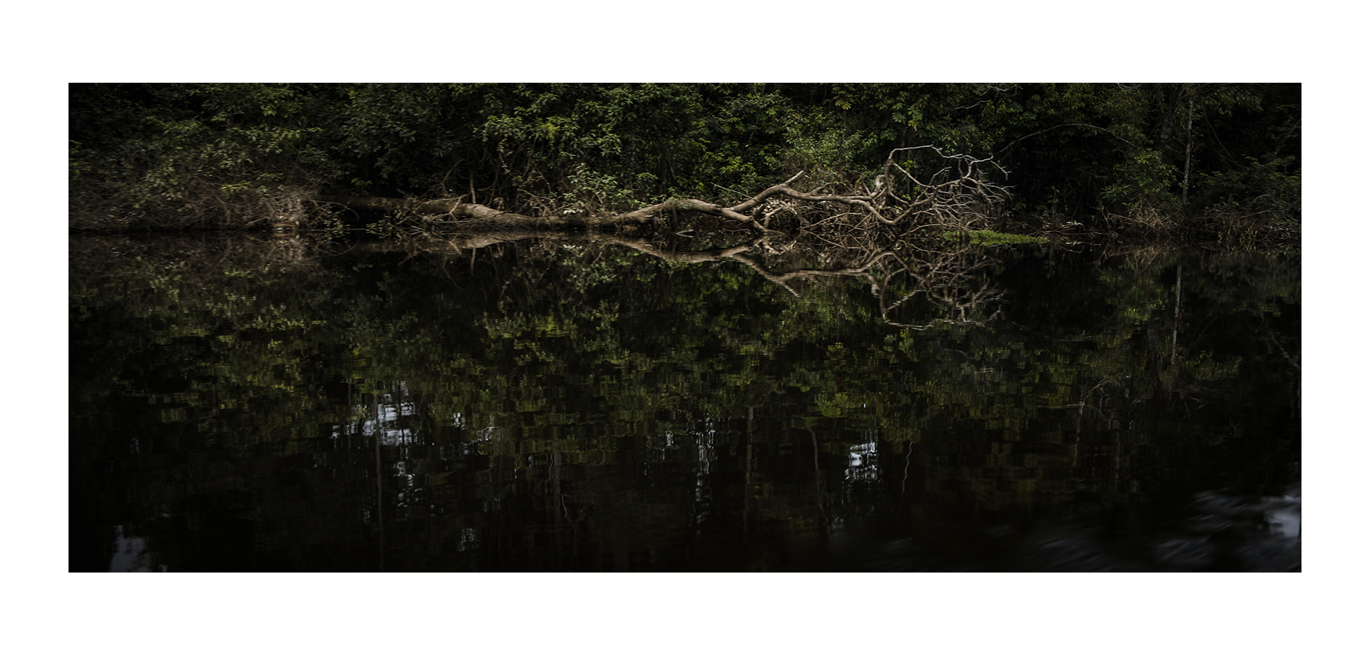 Framing website Anamorphic-Recovered.png